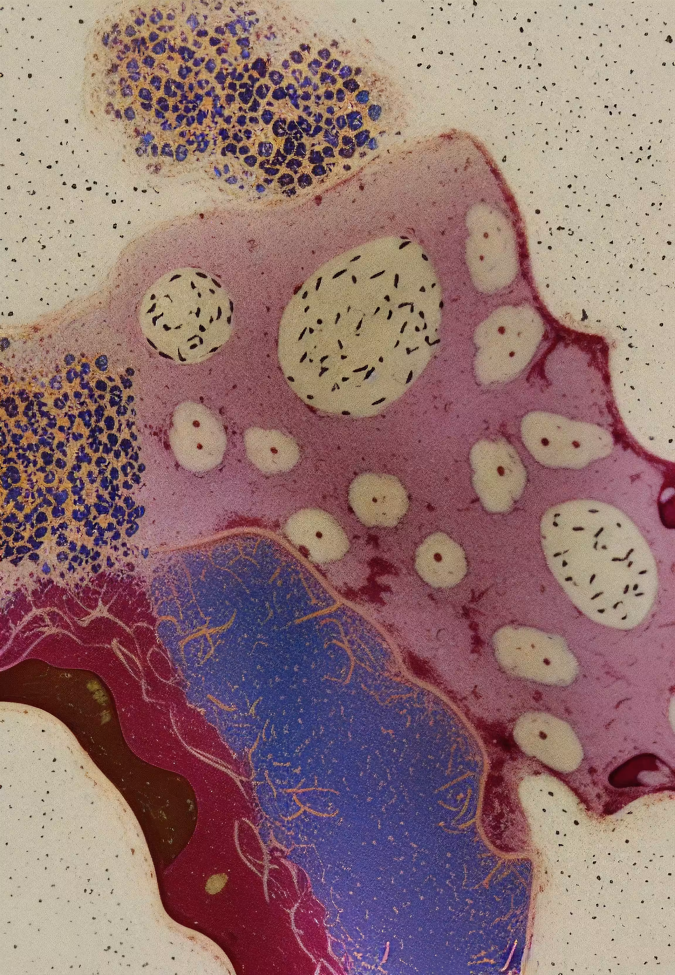 Histologia In Silico #153