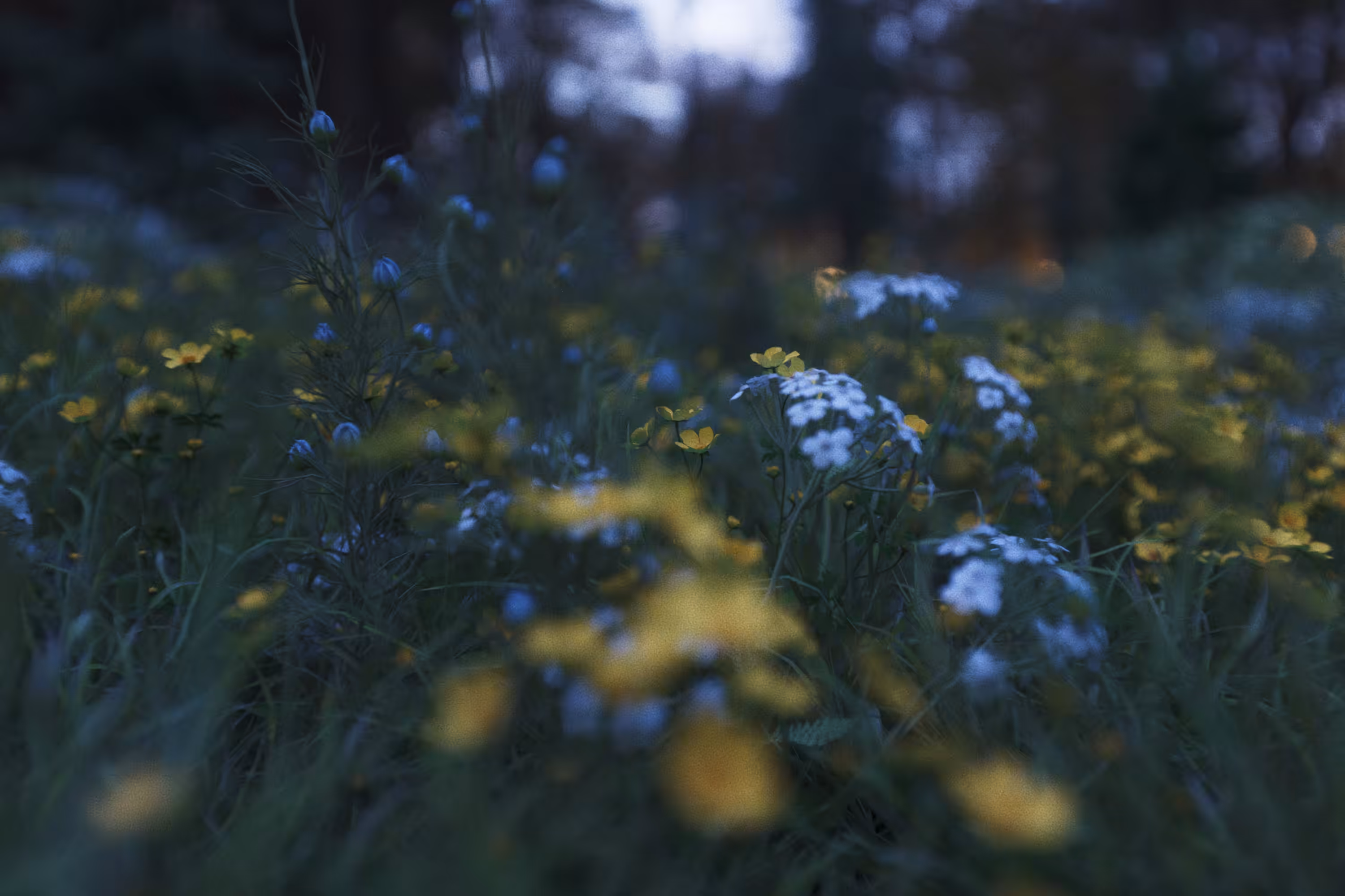 Mellow Meadow v2