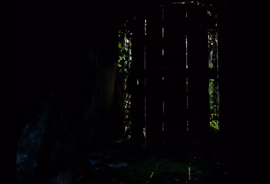 Door Intro !