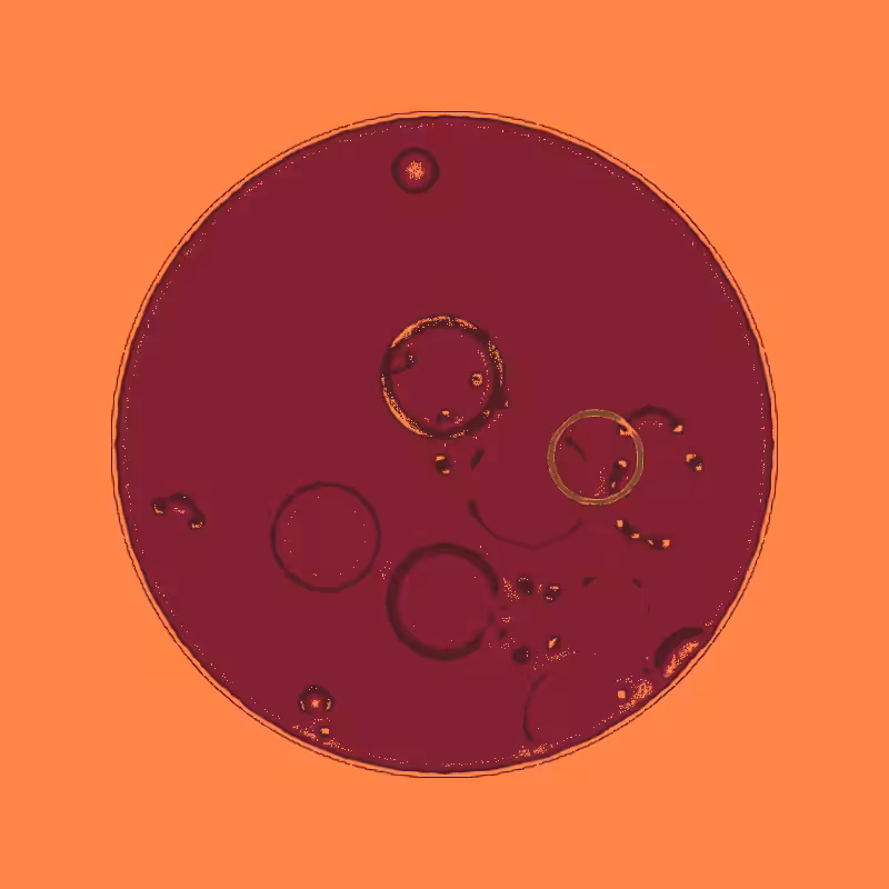Cheap Petri Dish #69