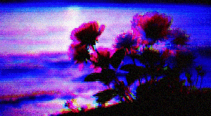 _when_dawn_breaks