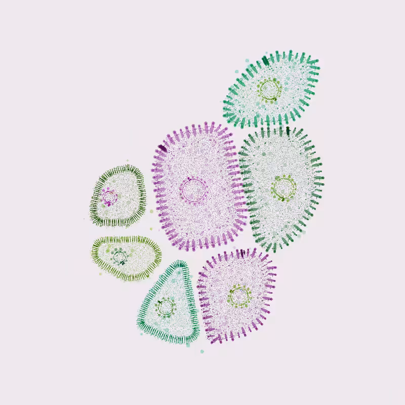 Organelles #4