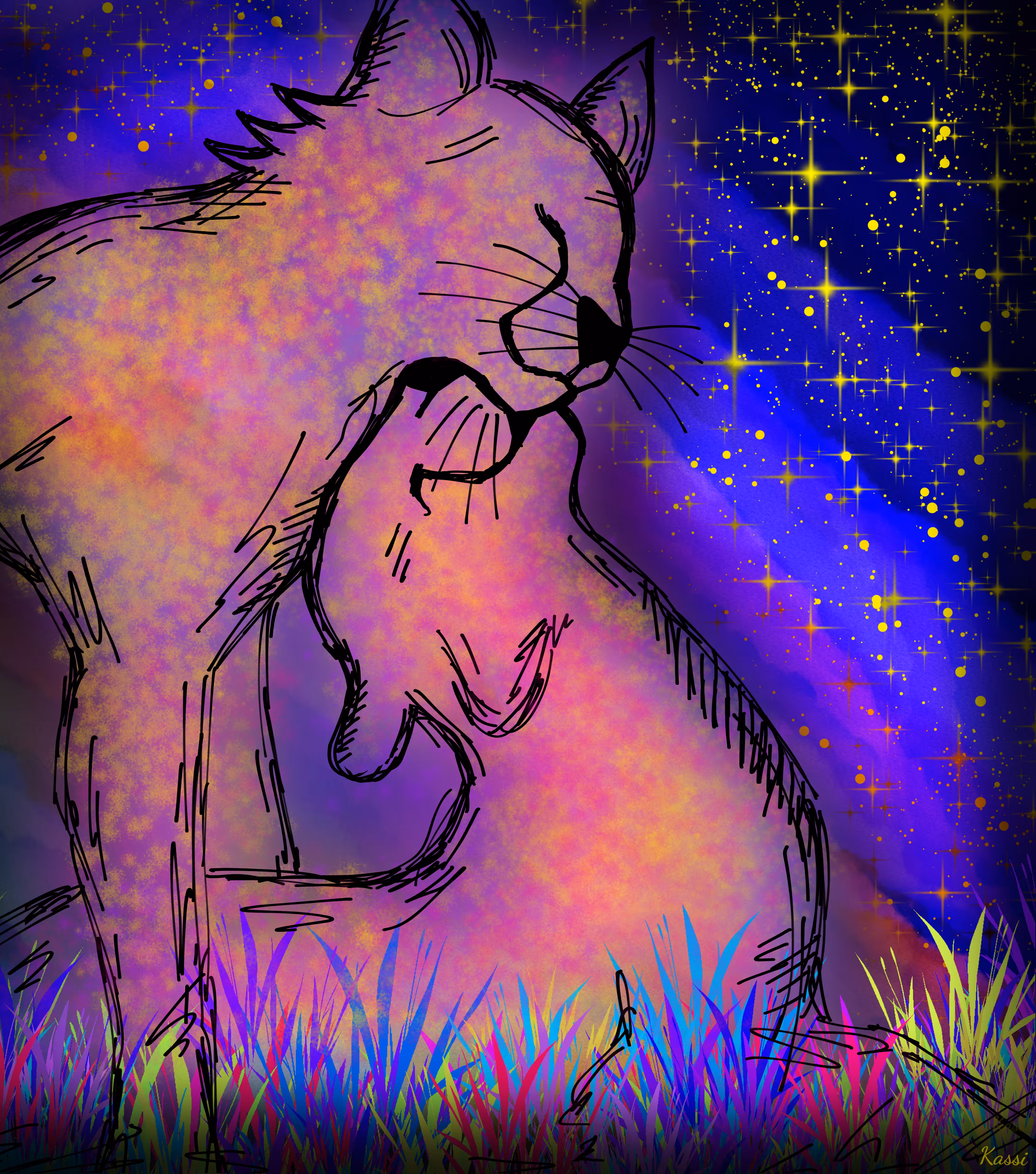 "Rainbow cheetahs"