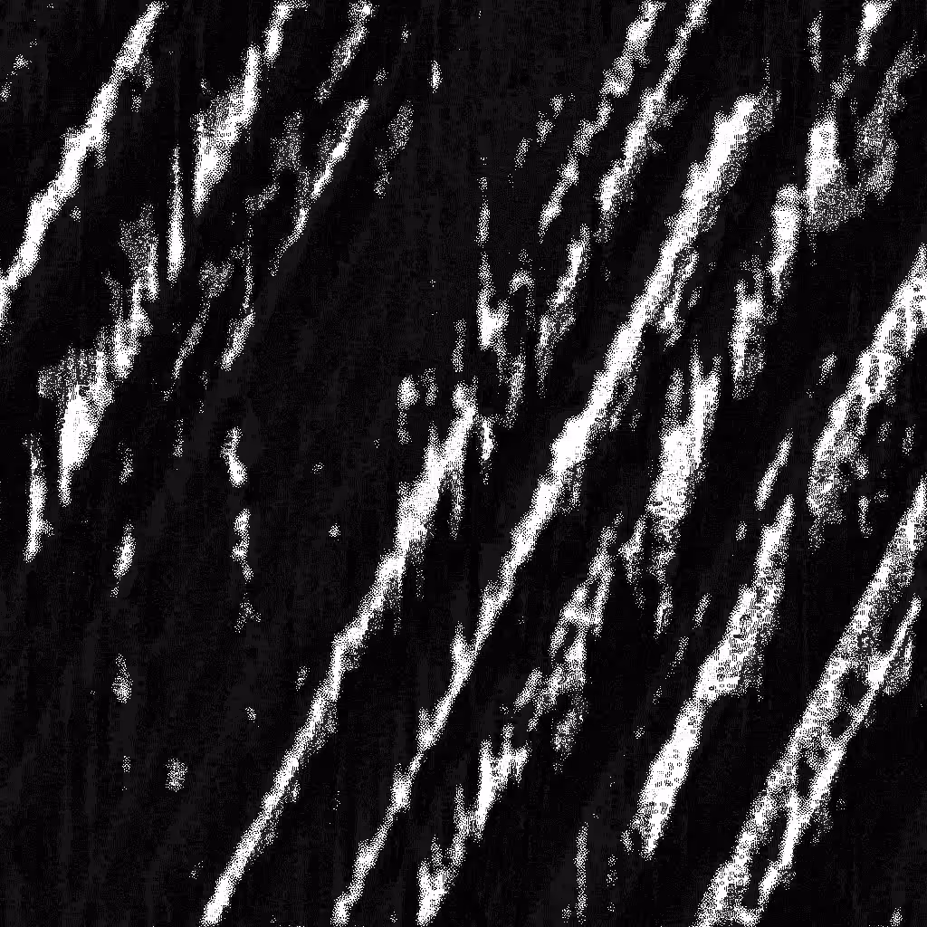 Noise #262 