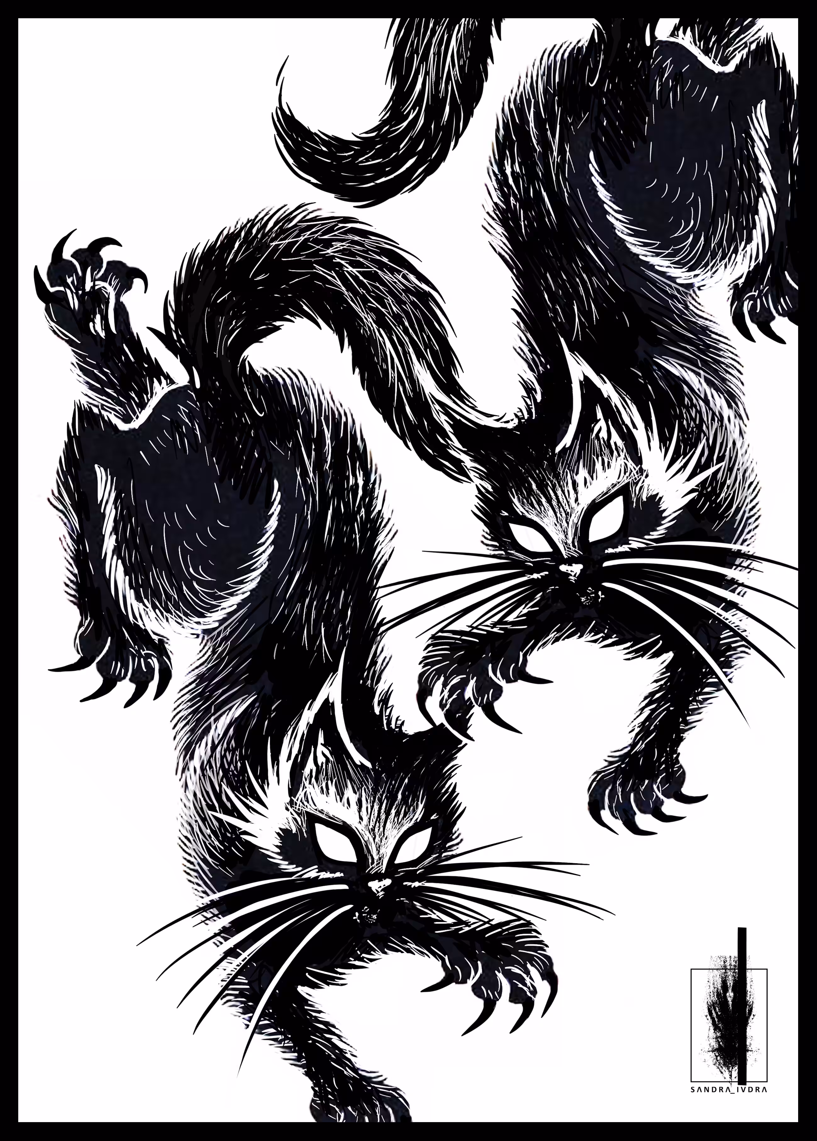 Black cats