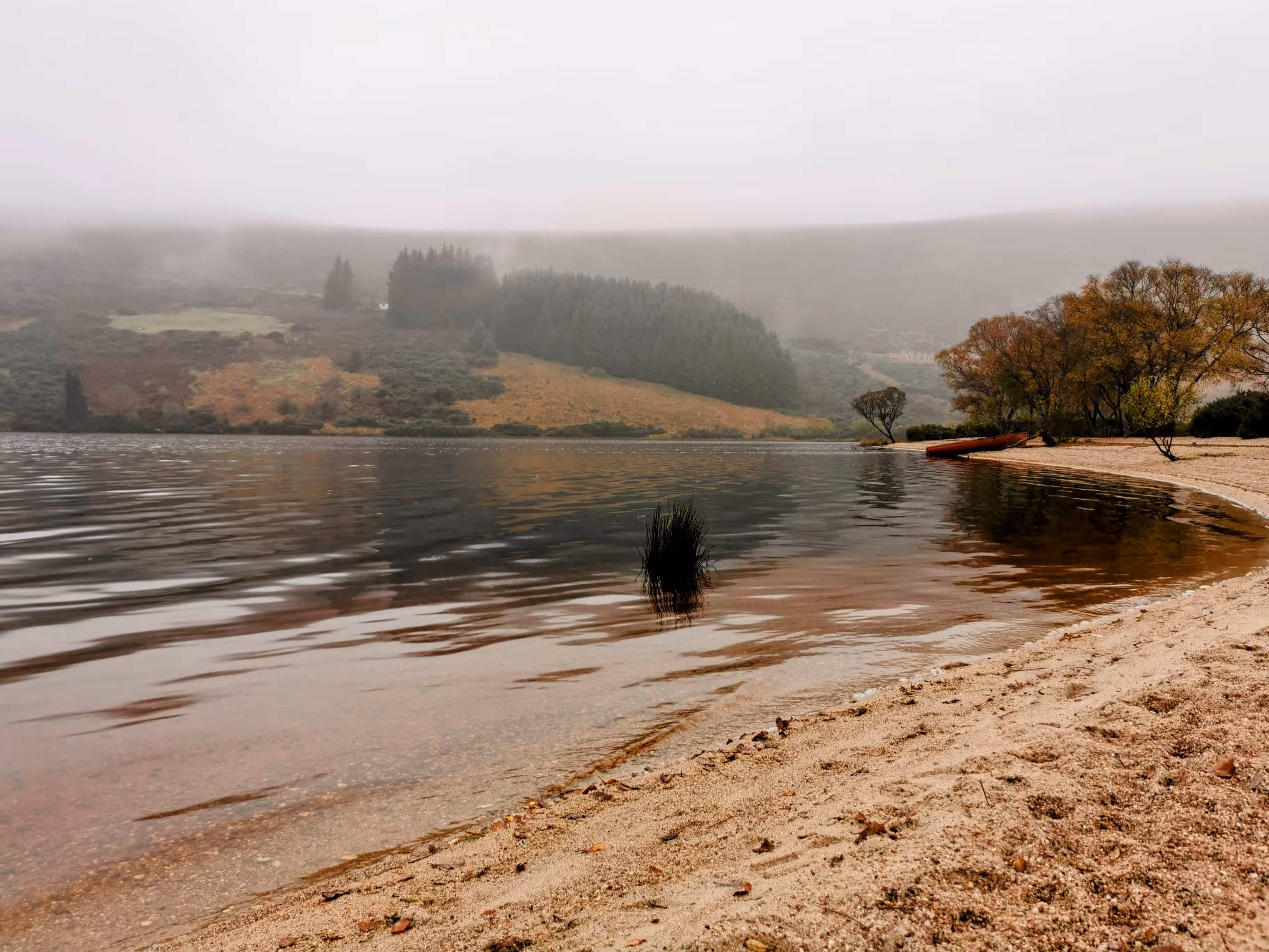 Nature's Canvas: Inchavore River Mouth 