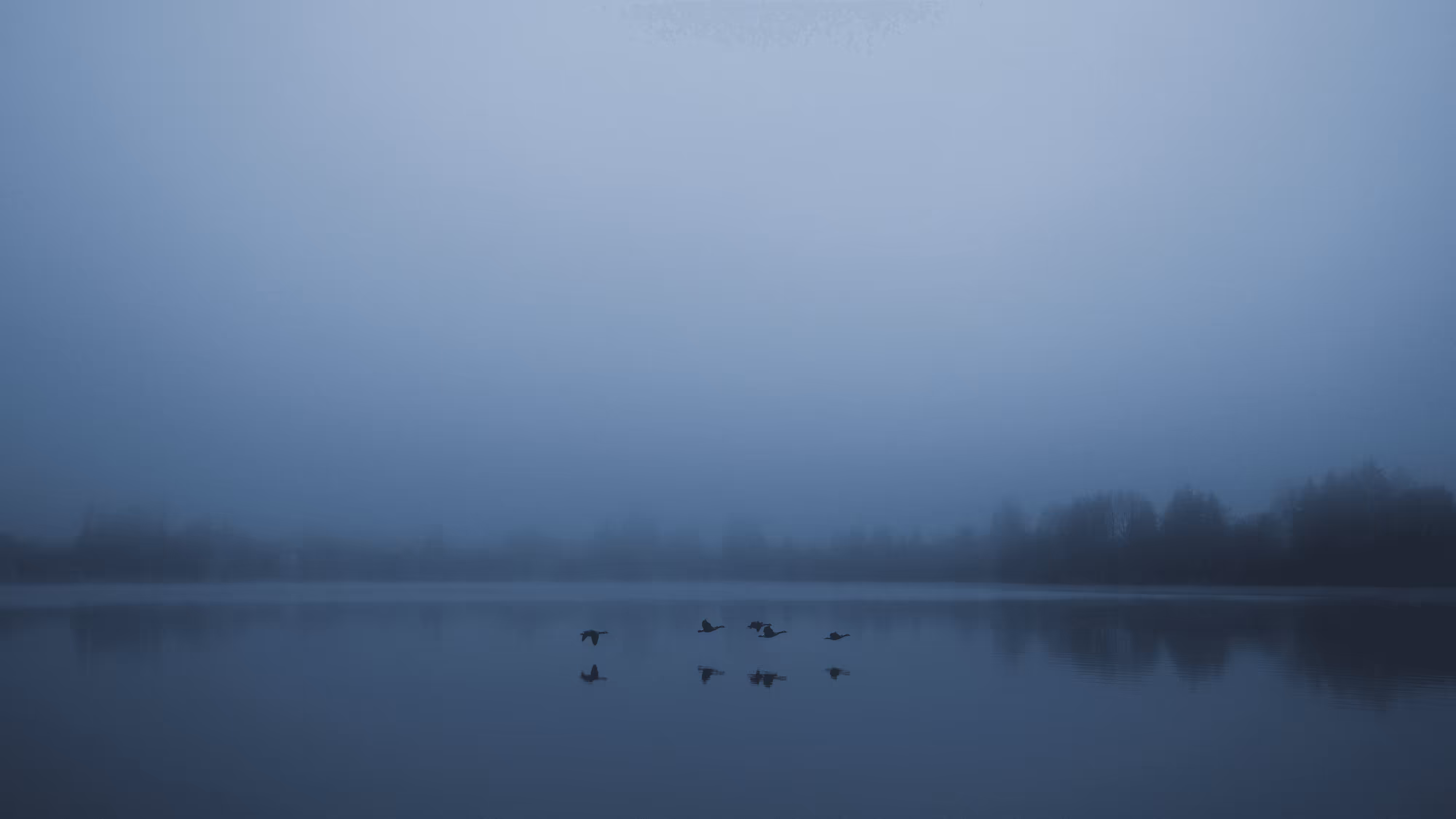 Tangible Stillness - 17
