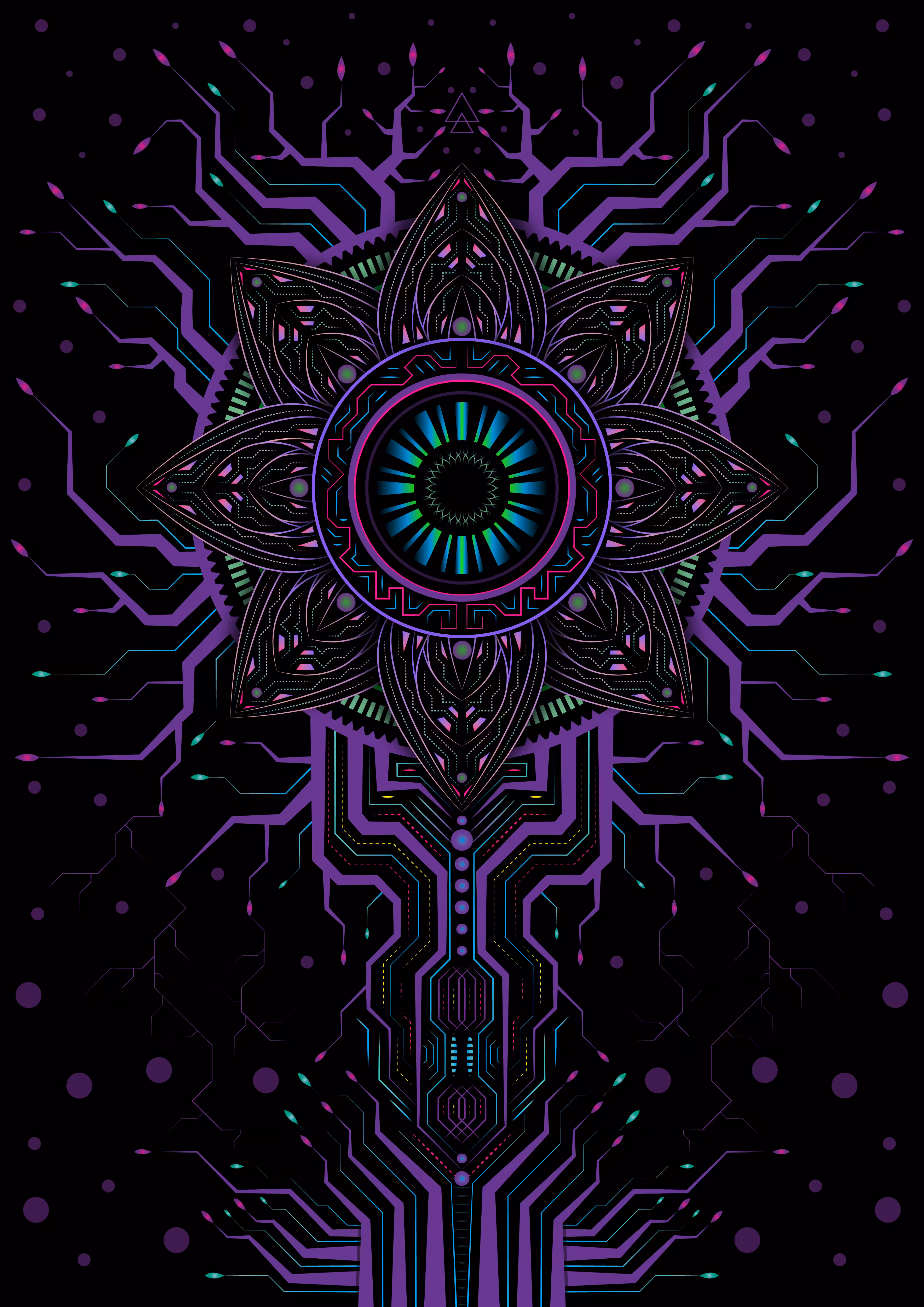Lotus Insight