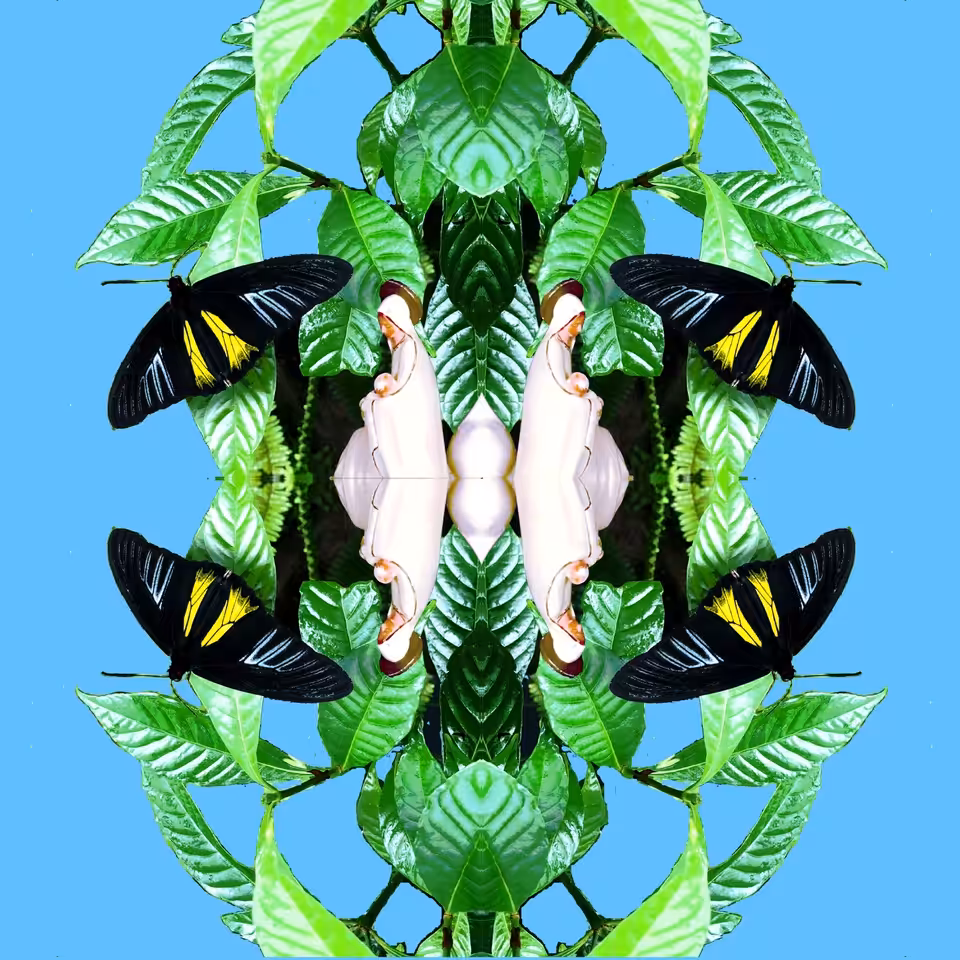 Cocoon by J. Adam McGalliard