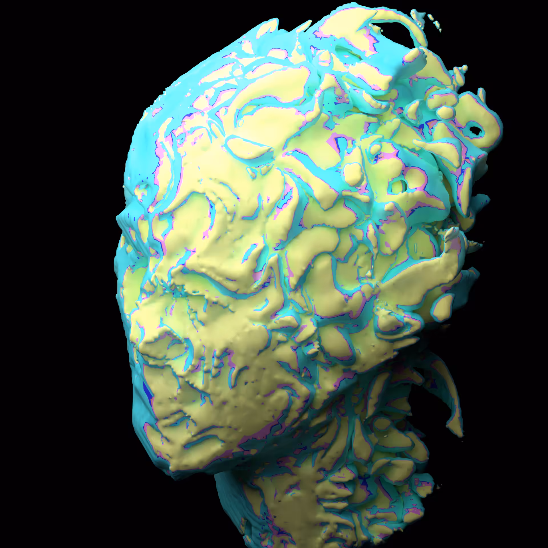 Cabeza volumen I