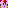 Toad