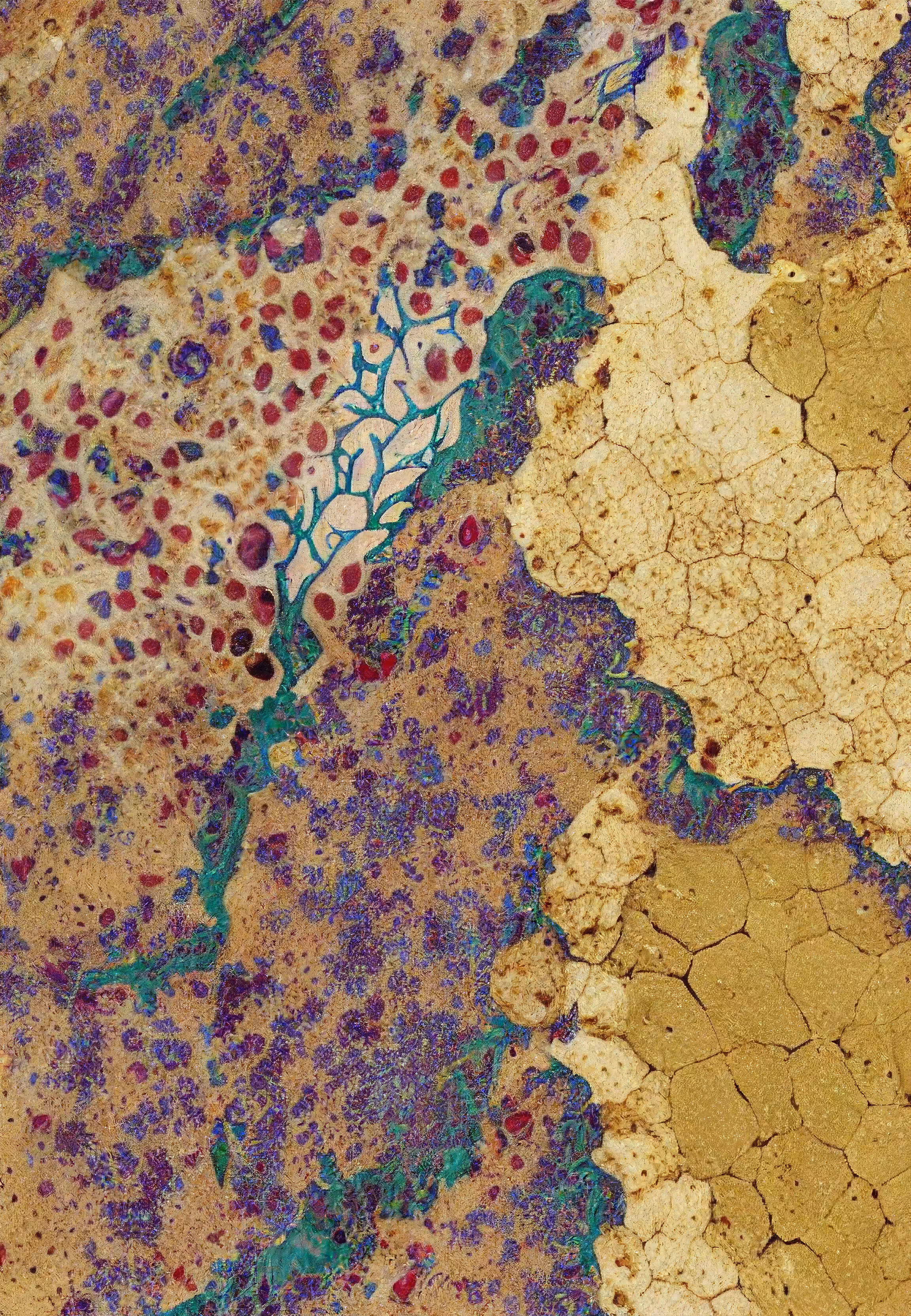 Histologia In Silico #142