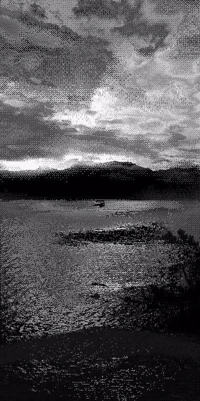Horizon #29
