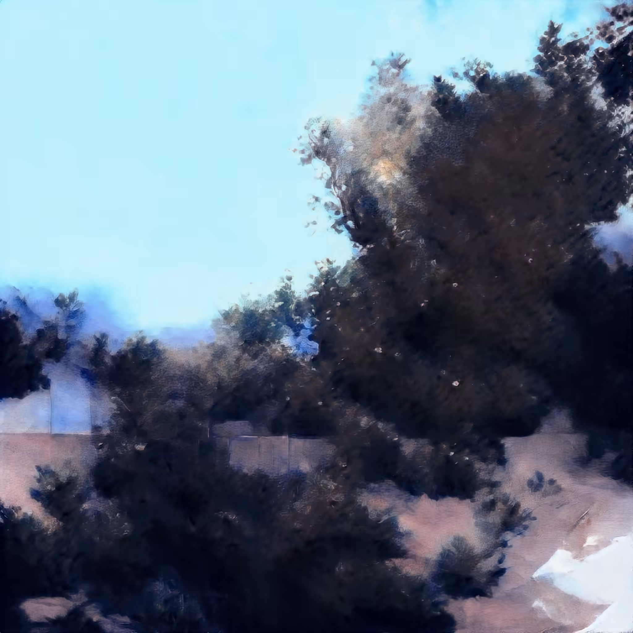 Dreamscape 7