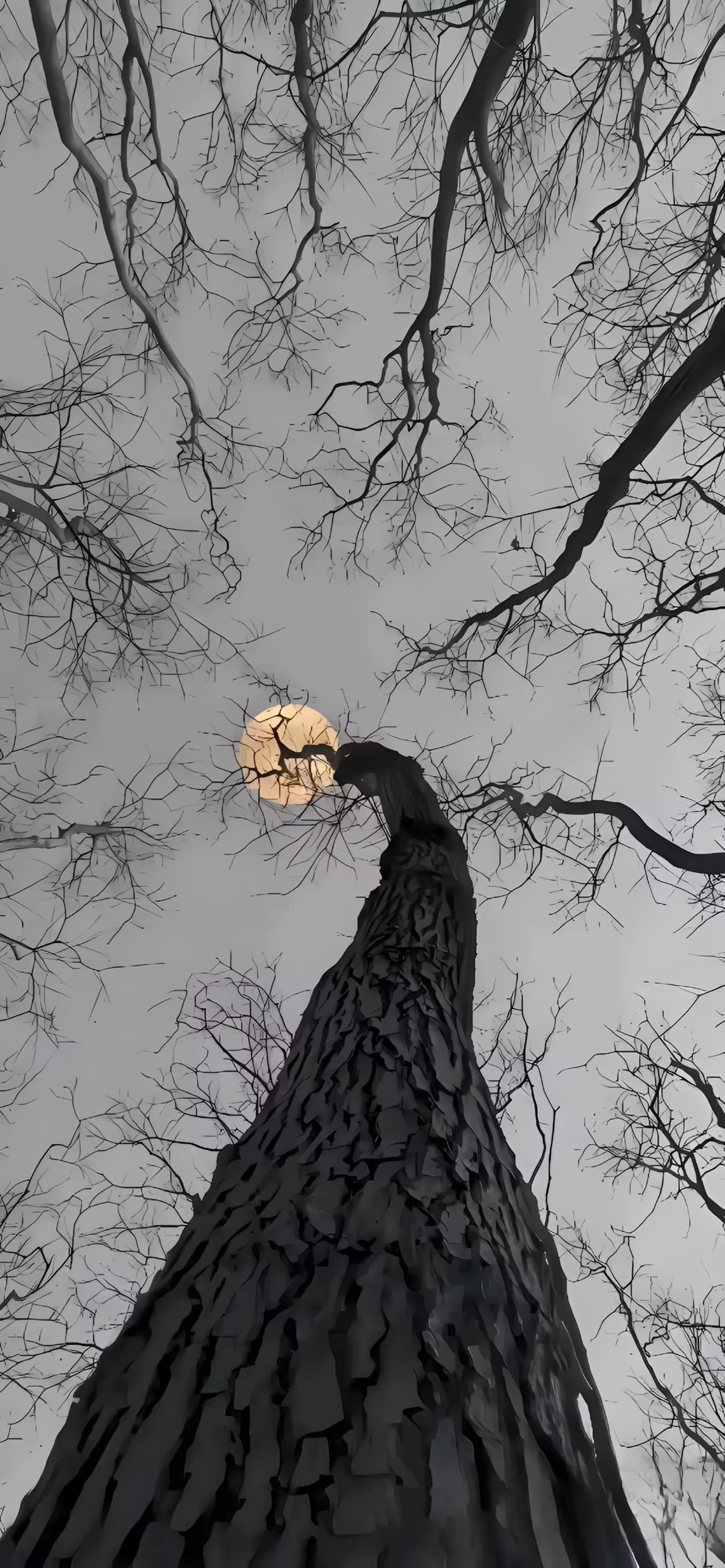 Sentinel of the Moon