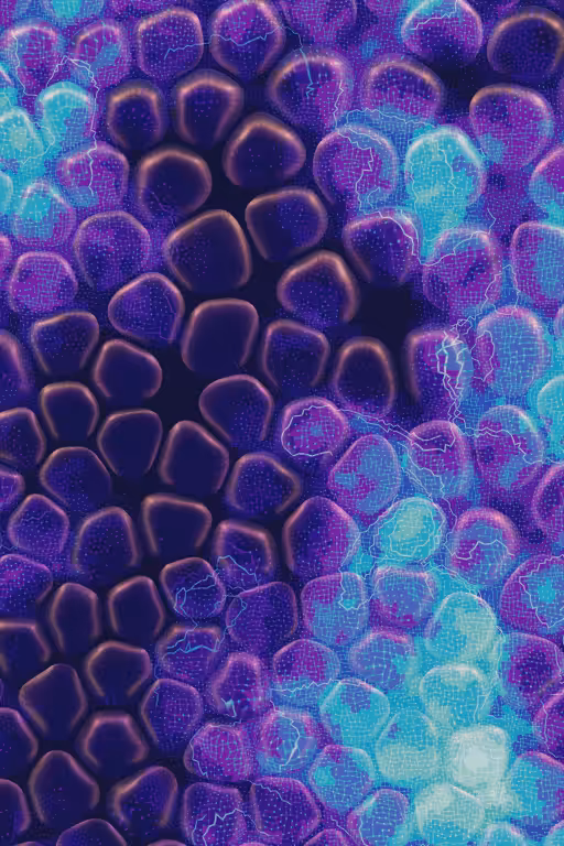 Vitreous #39