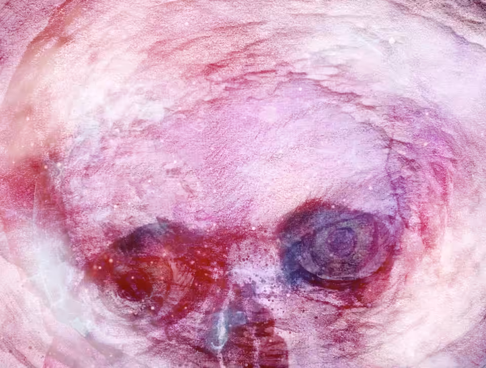 Eyes of the Reaper