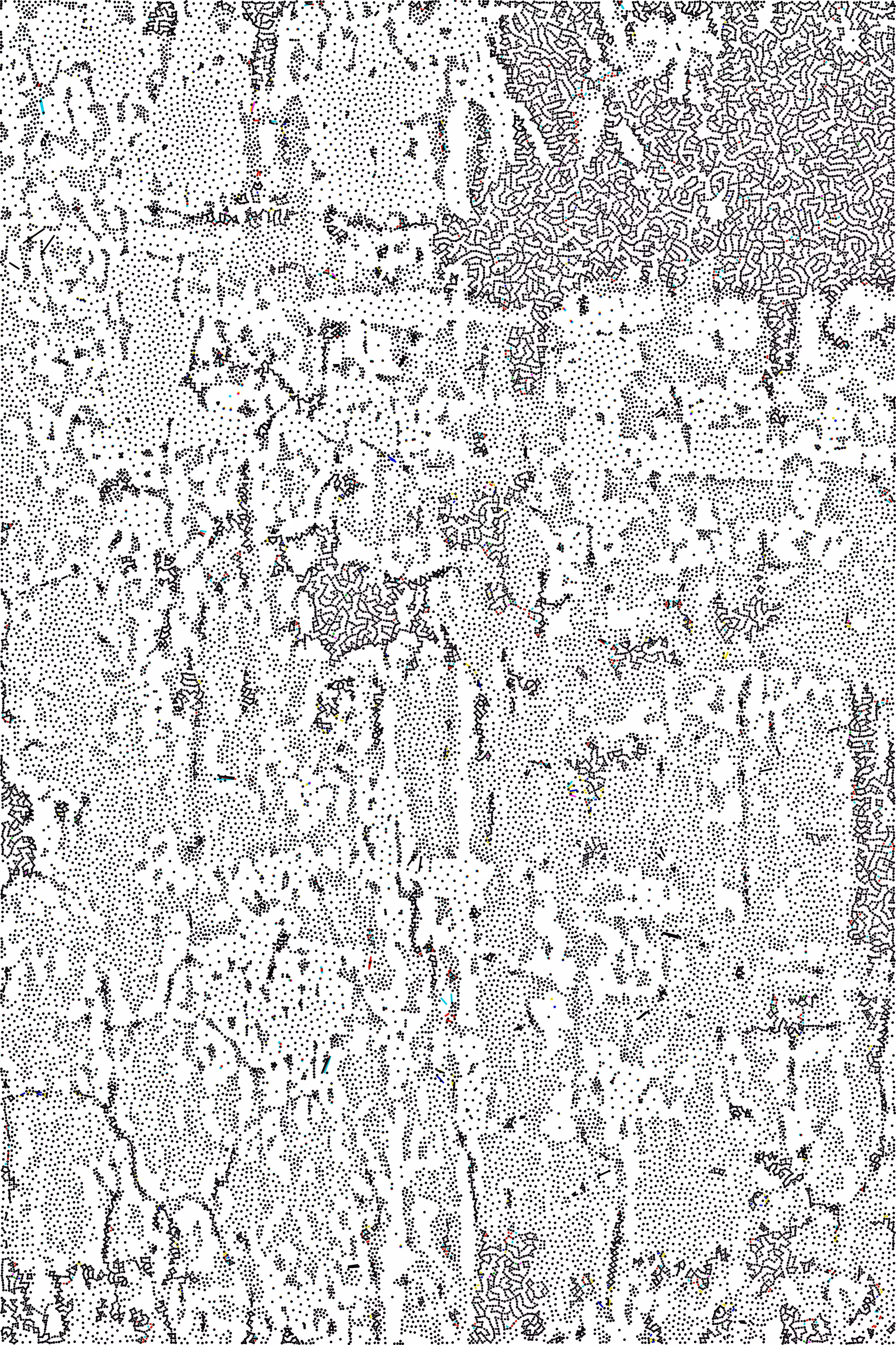 V/PT-01-15 (Lucca, Italy)