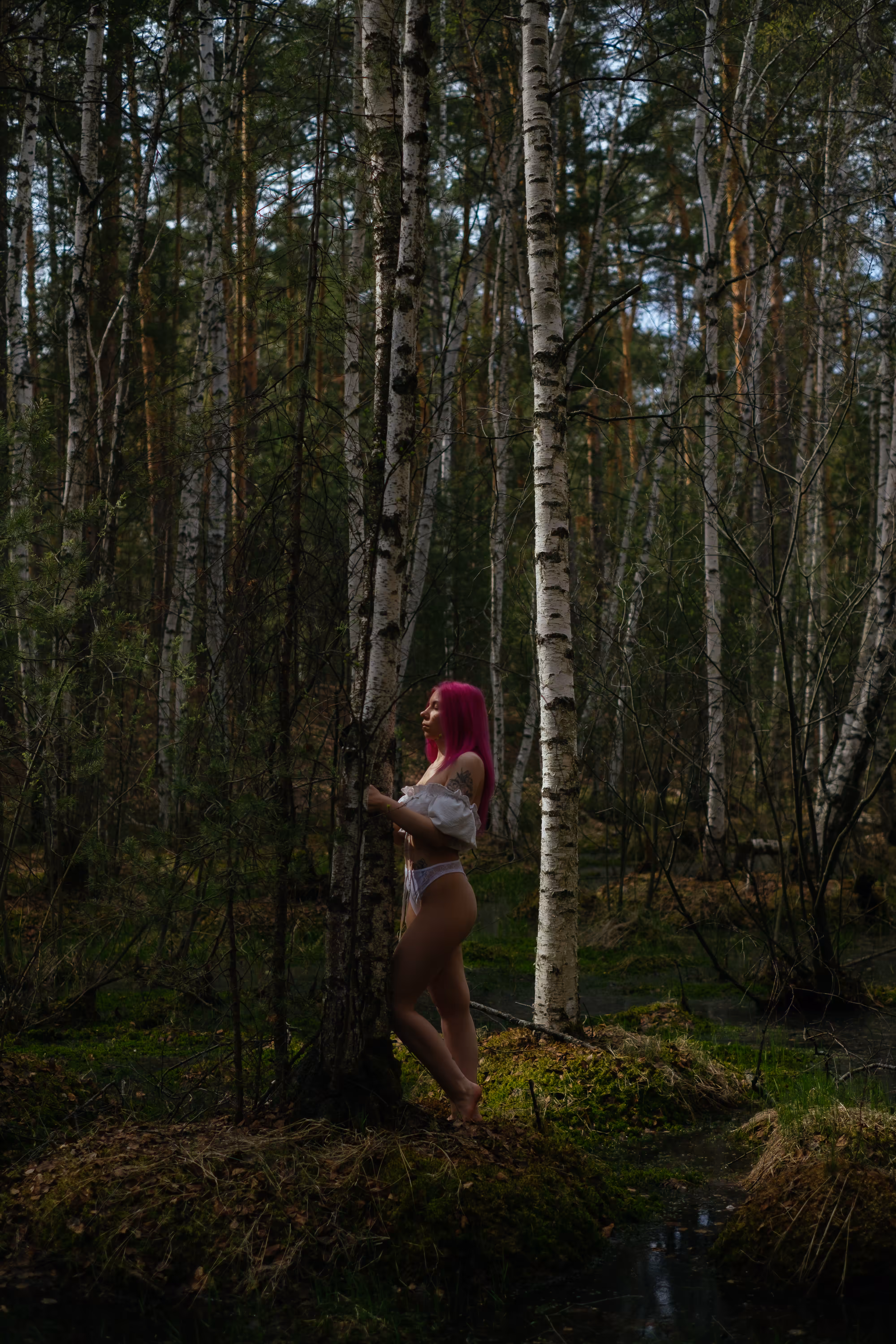 Between Roots and Sky