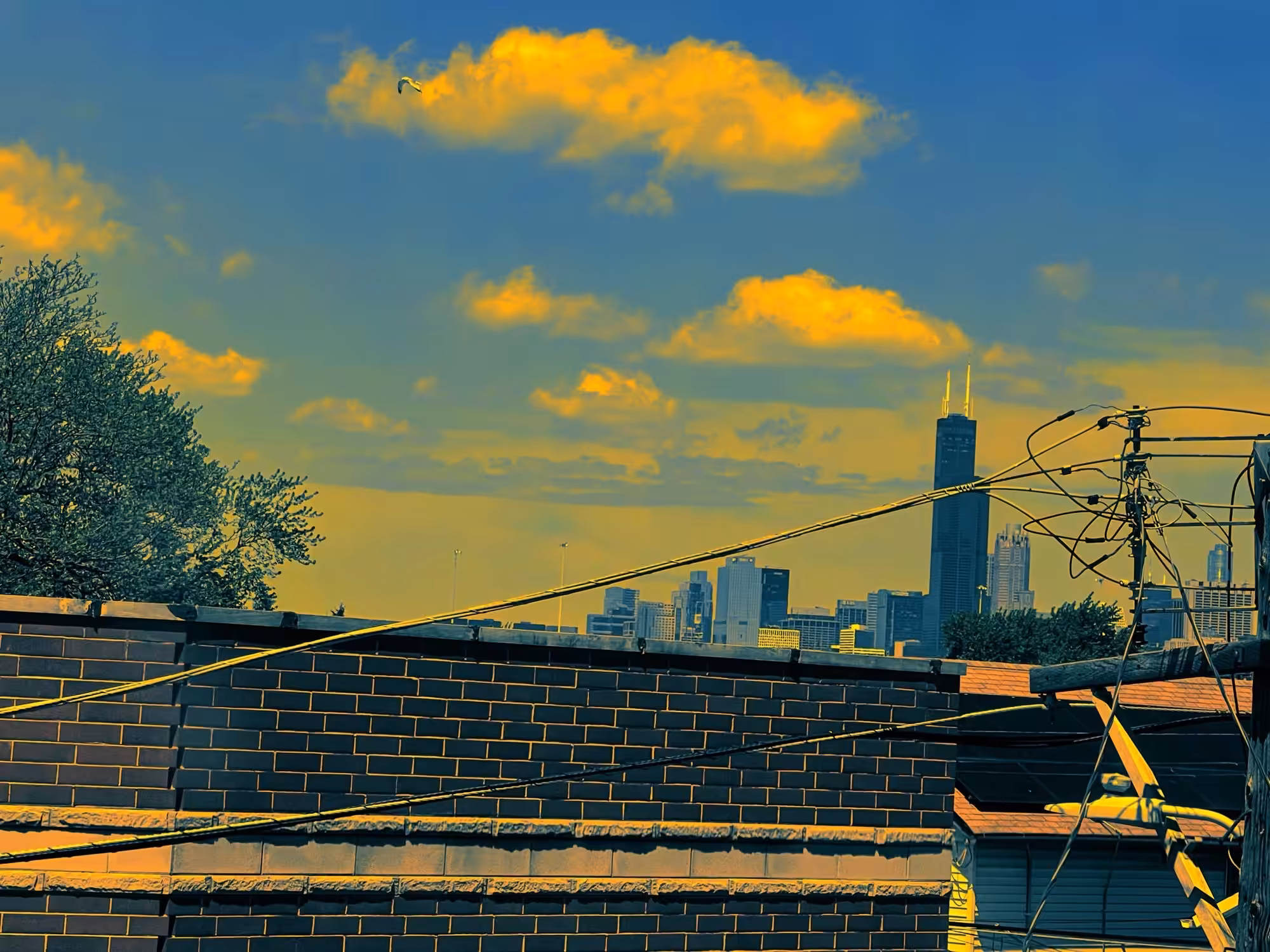 CHICAGO SKIES