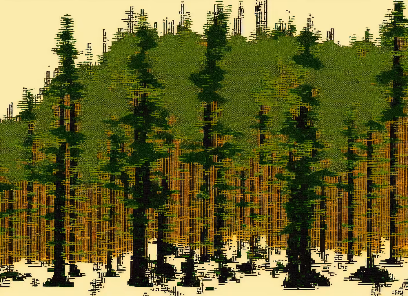 More Forest