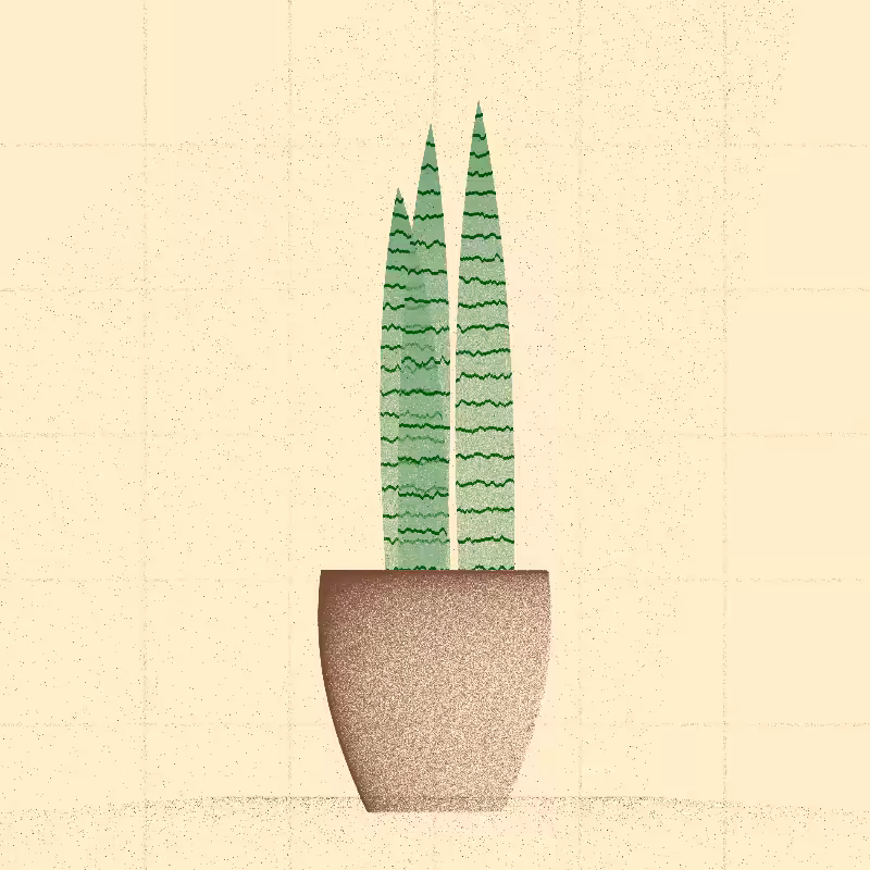 🌱 Potted & Printed #68