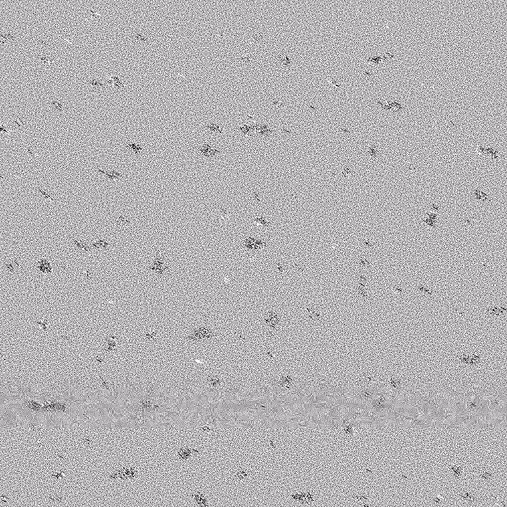 HIDDEN IN NOISE: Noise #784 