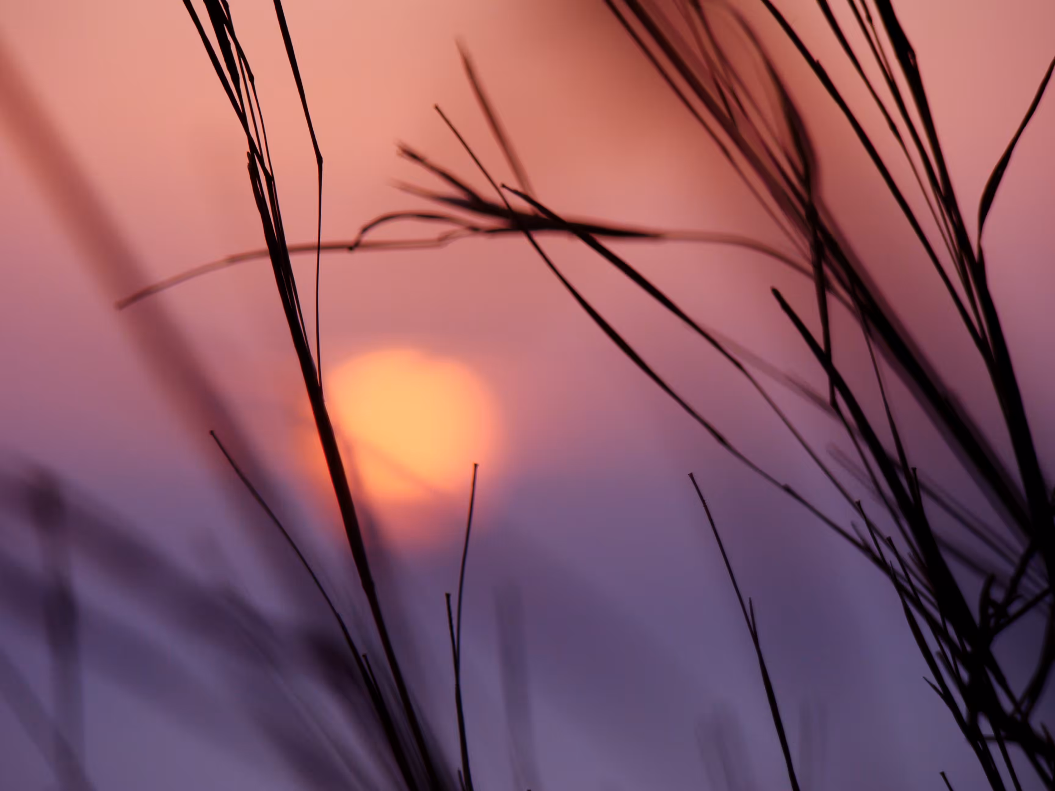 Motion in time