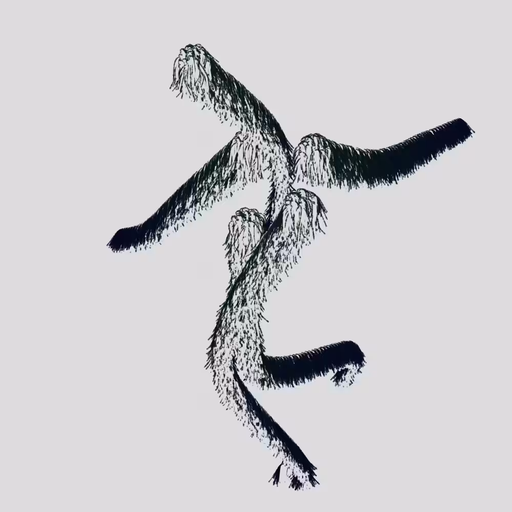 Hairy Thing - Hopscotch