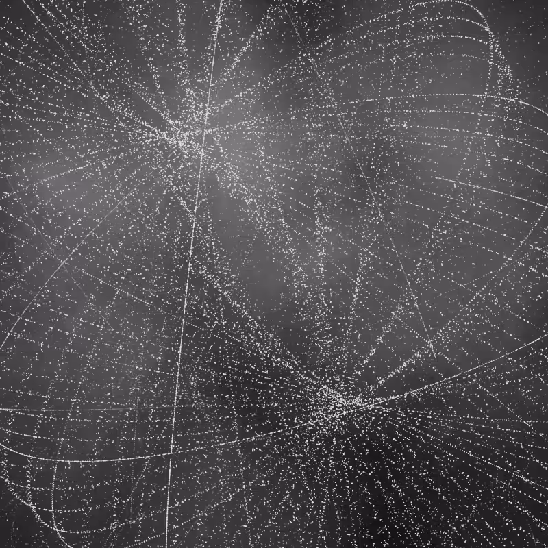 polar thread n.11 #14
