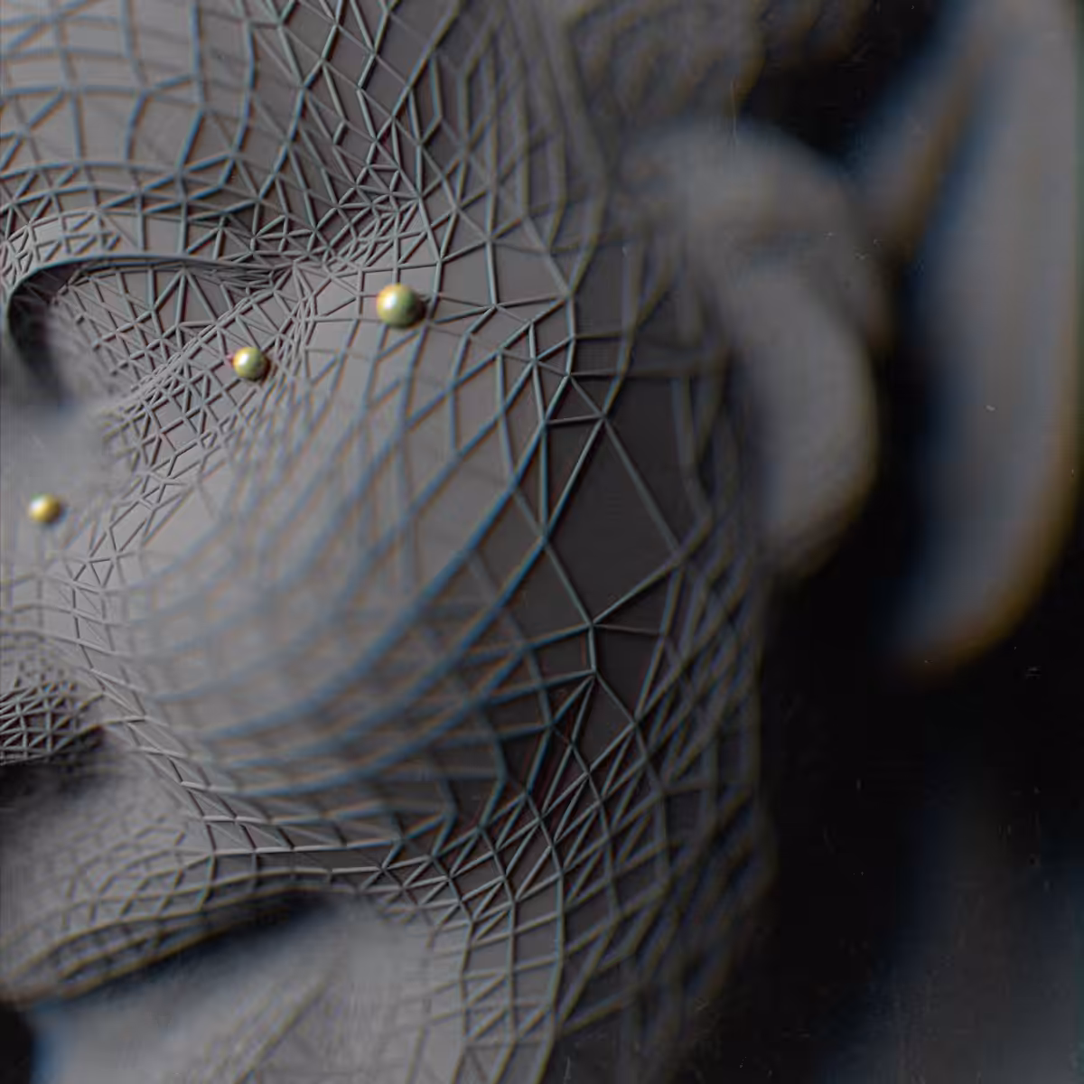 Details Had Voice