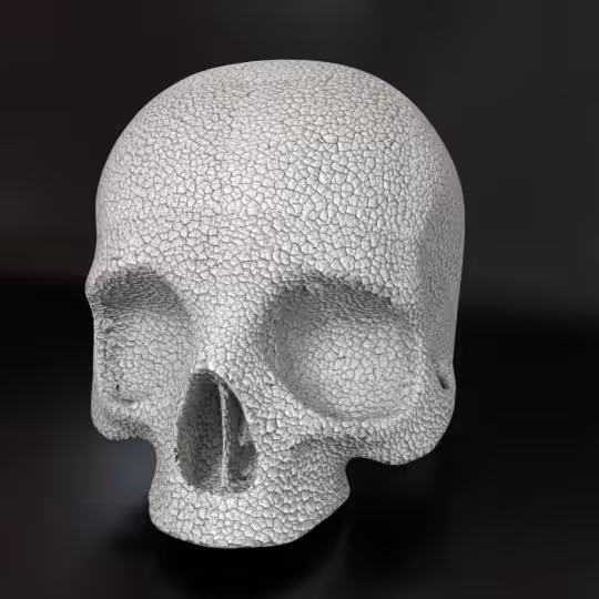 SkullZ #217