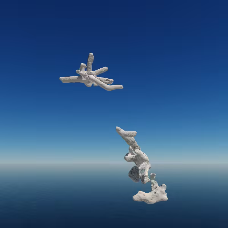 Bone Work (Gulf of Mexico) 2022 #7