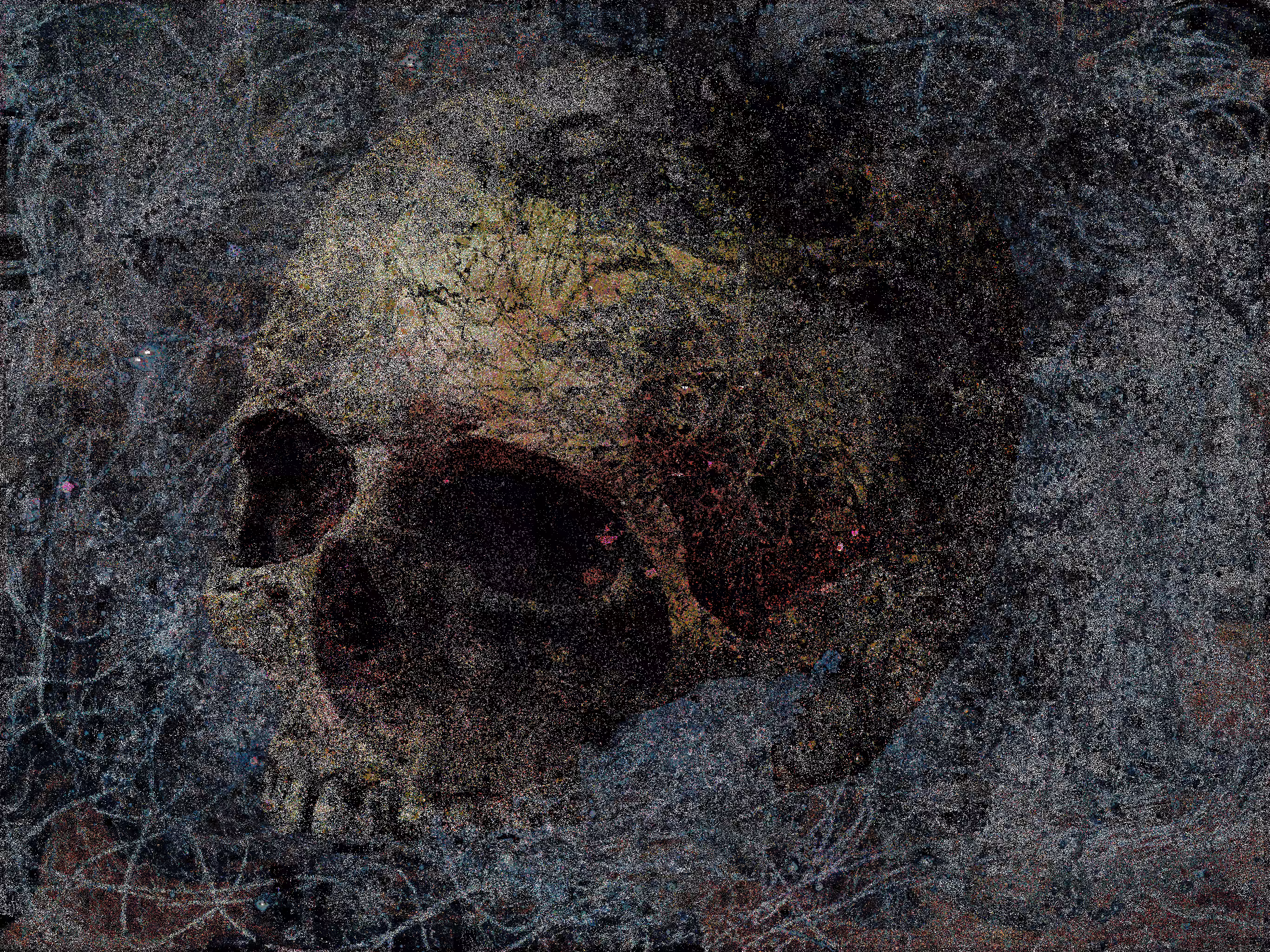eventual self portrait #40