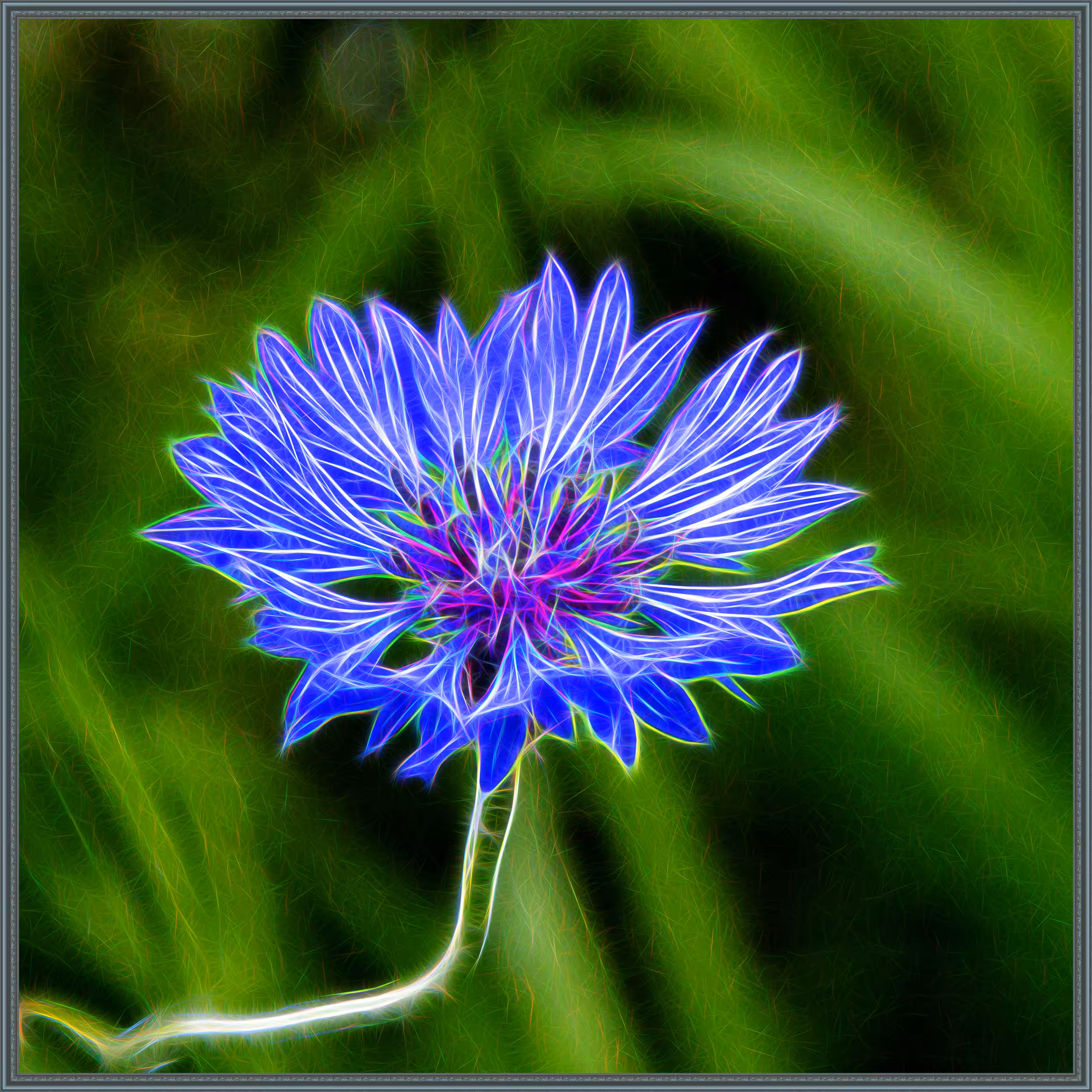 Tezoflower #30