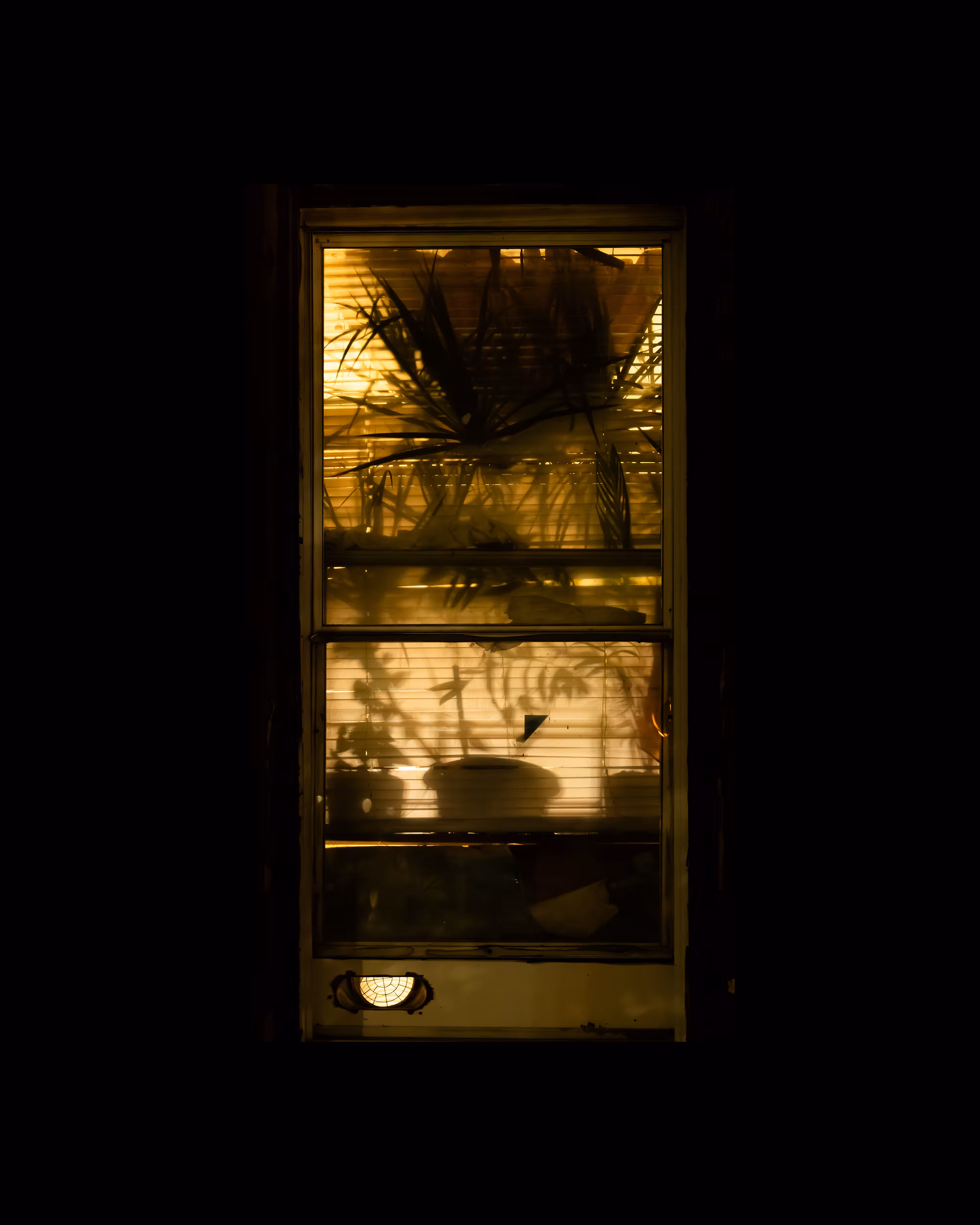 WINDOWS // NYC: WINDOW 631