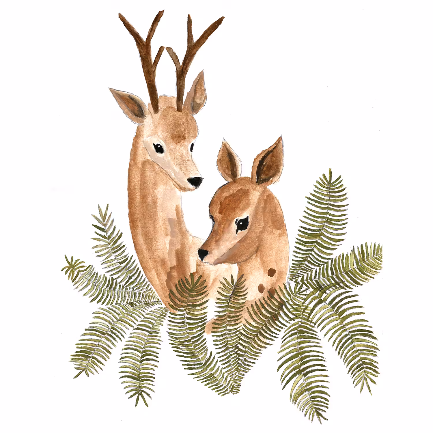 Deers