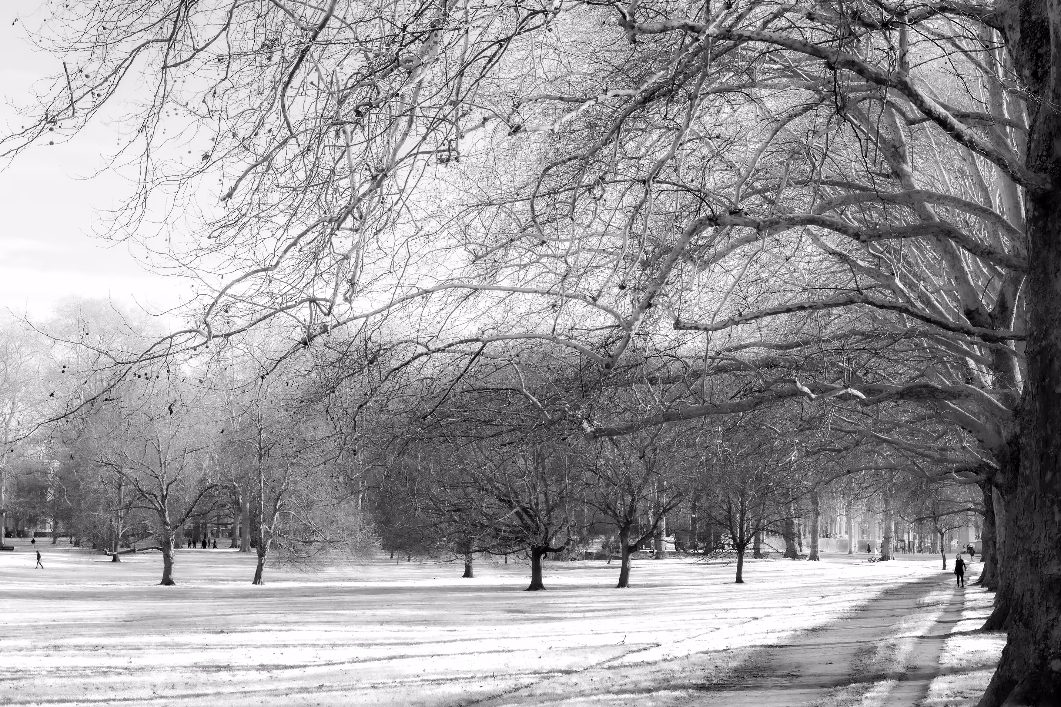 London #226