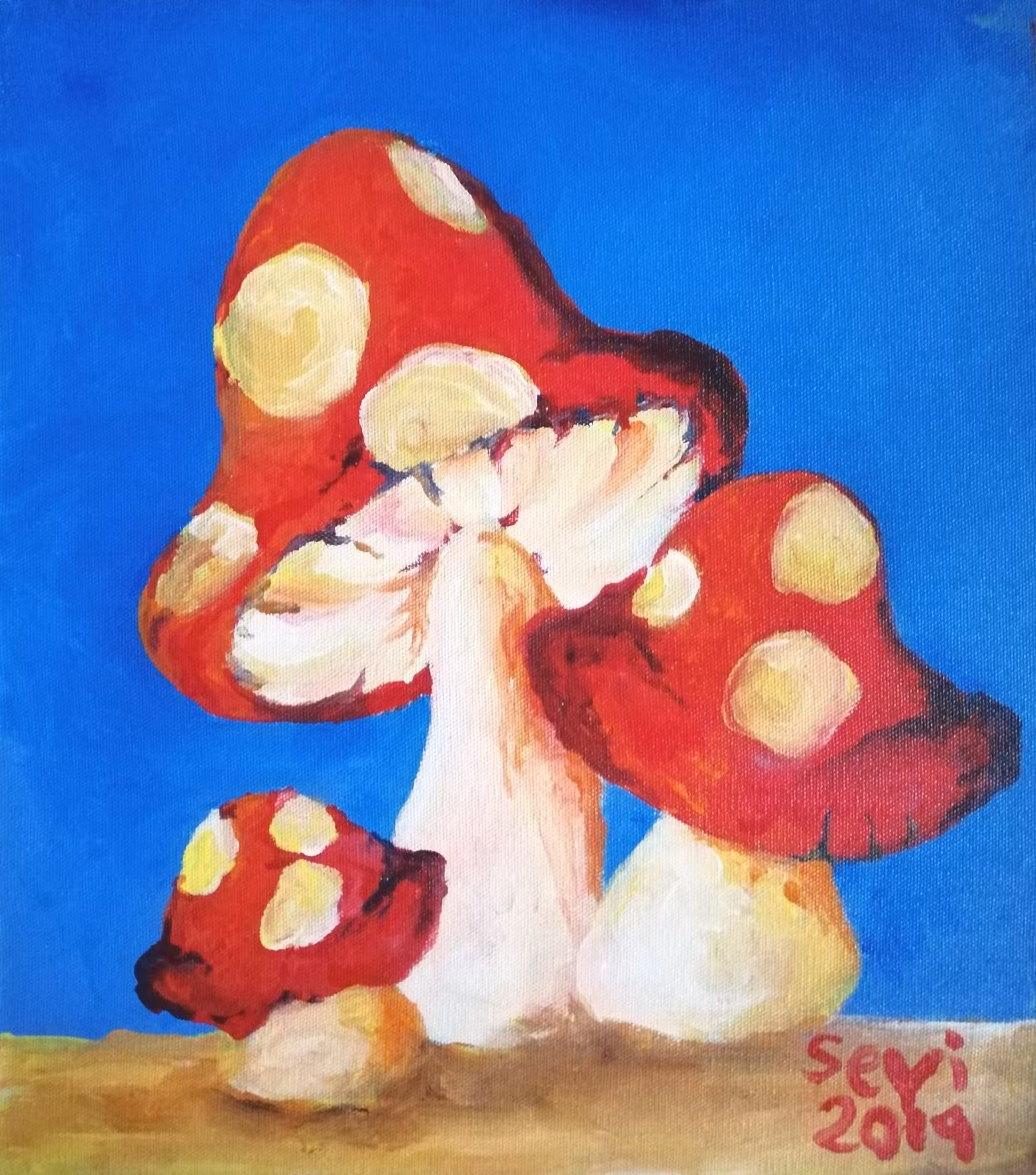 Mushrooms by Sevi
