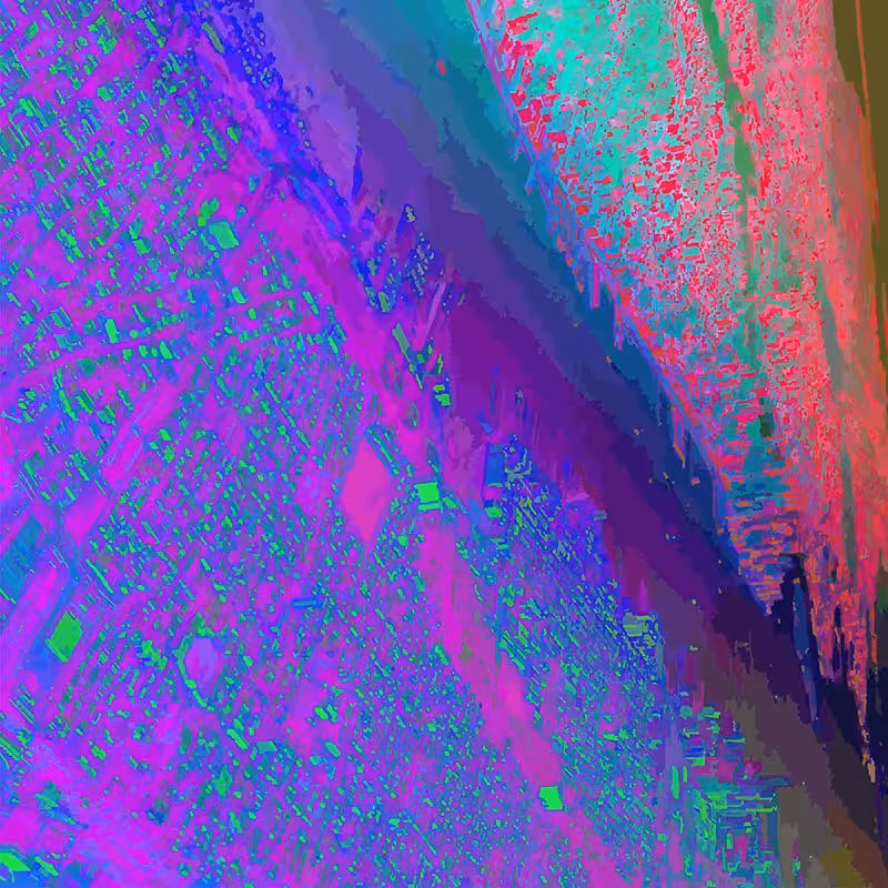 Bugs-eye #5