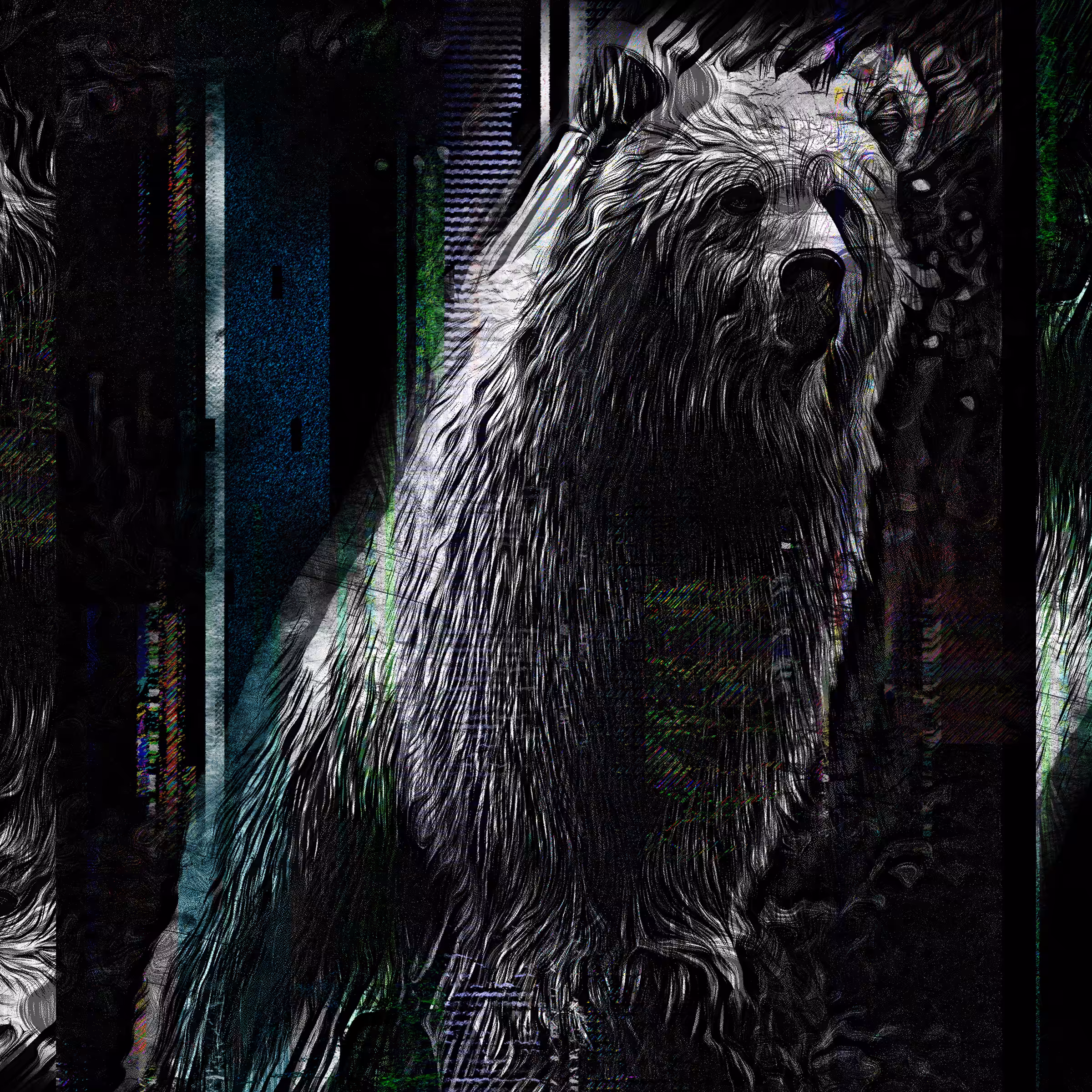 Bear Glitch