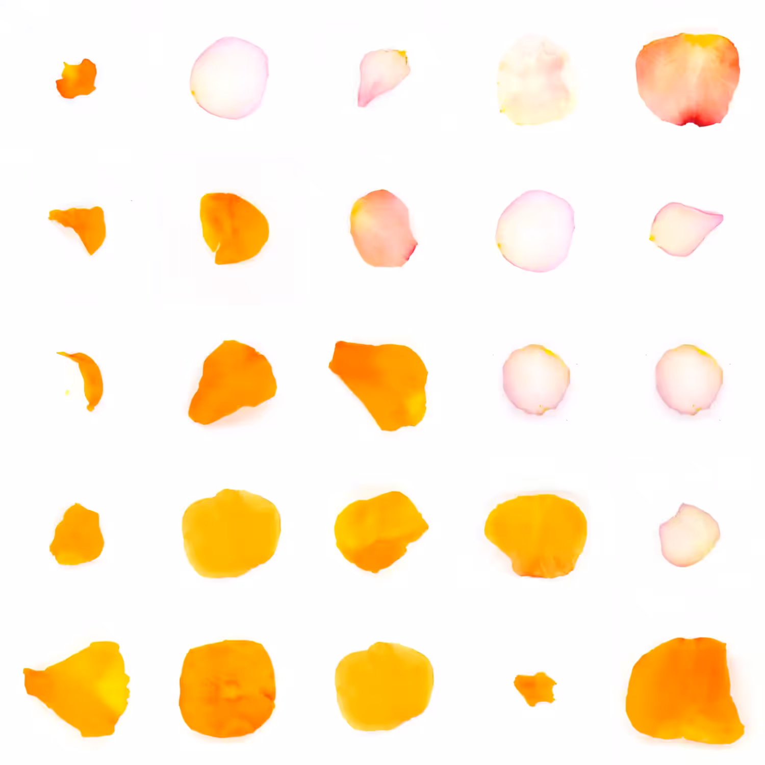 Infinite Petals 5x5#20977