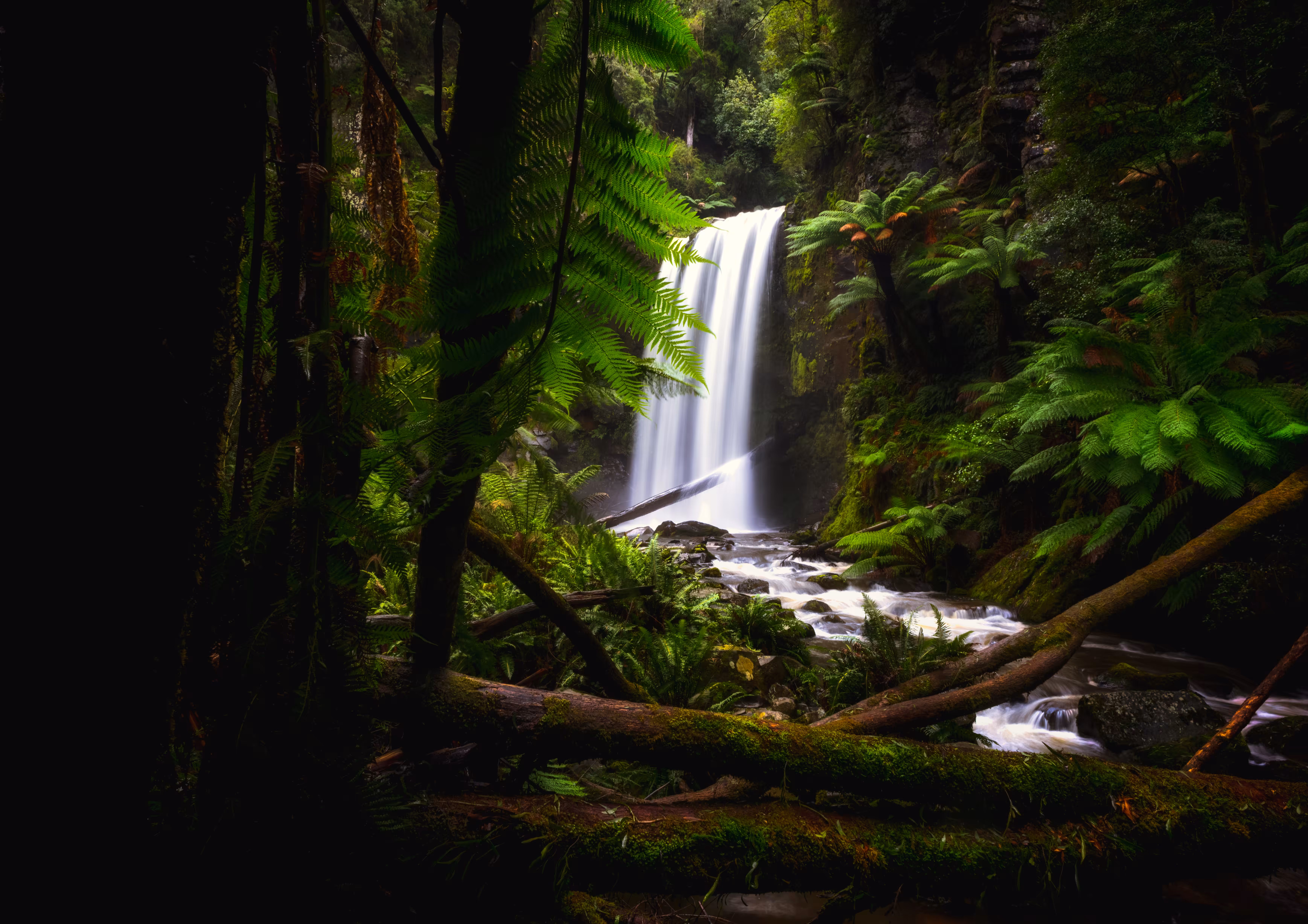 Cascading Beauty