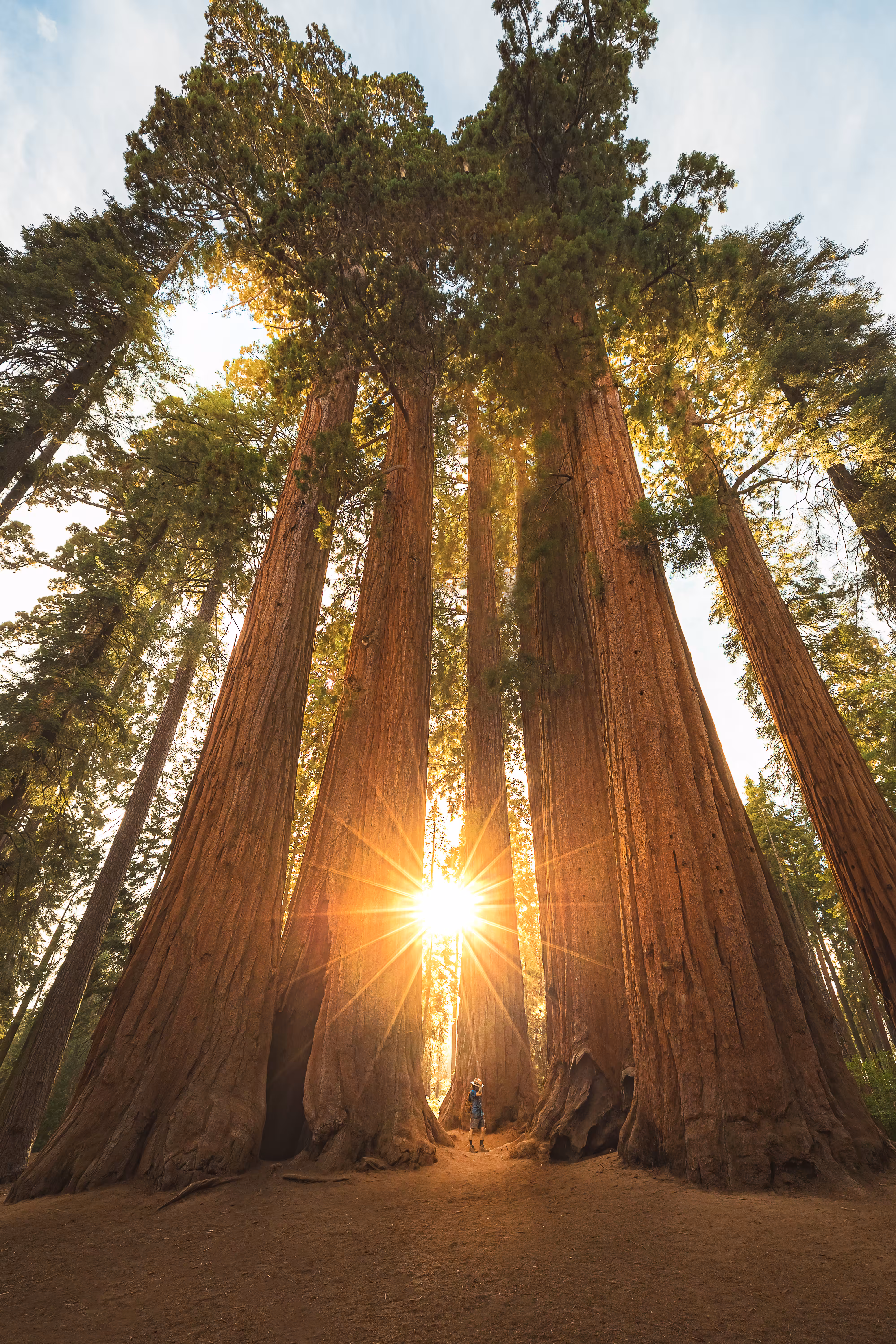 Earth Day Every Day