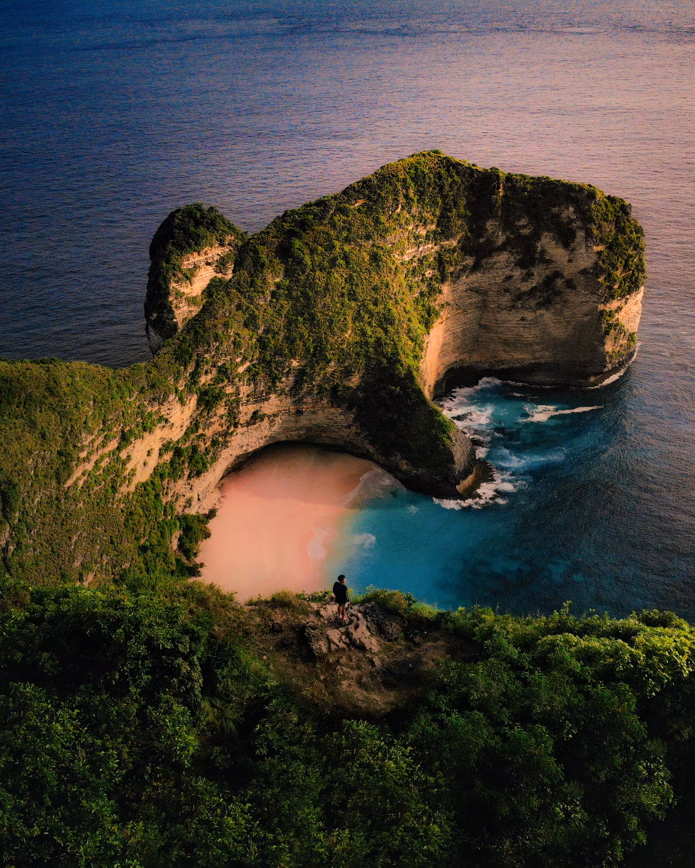 The Dinosaur Island