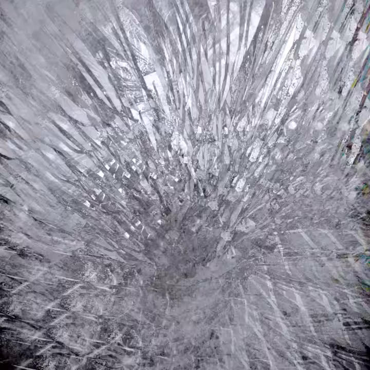 Crystallized Motion 