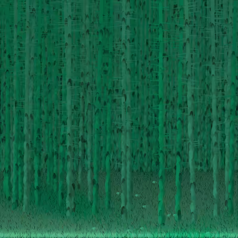 Berkenbos #3