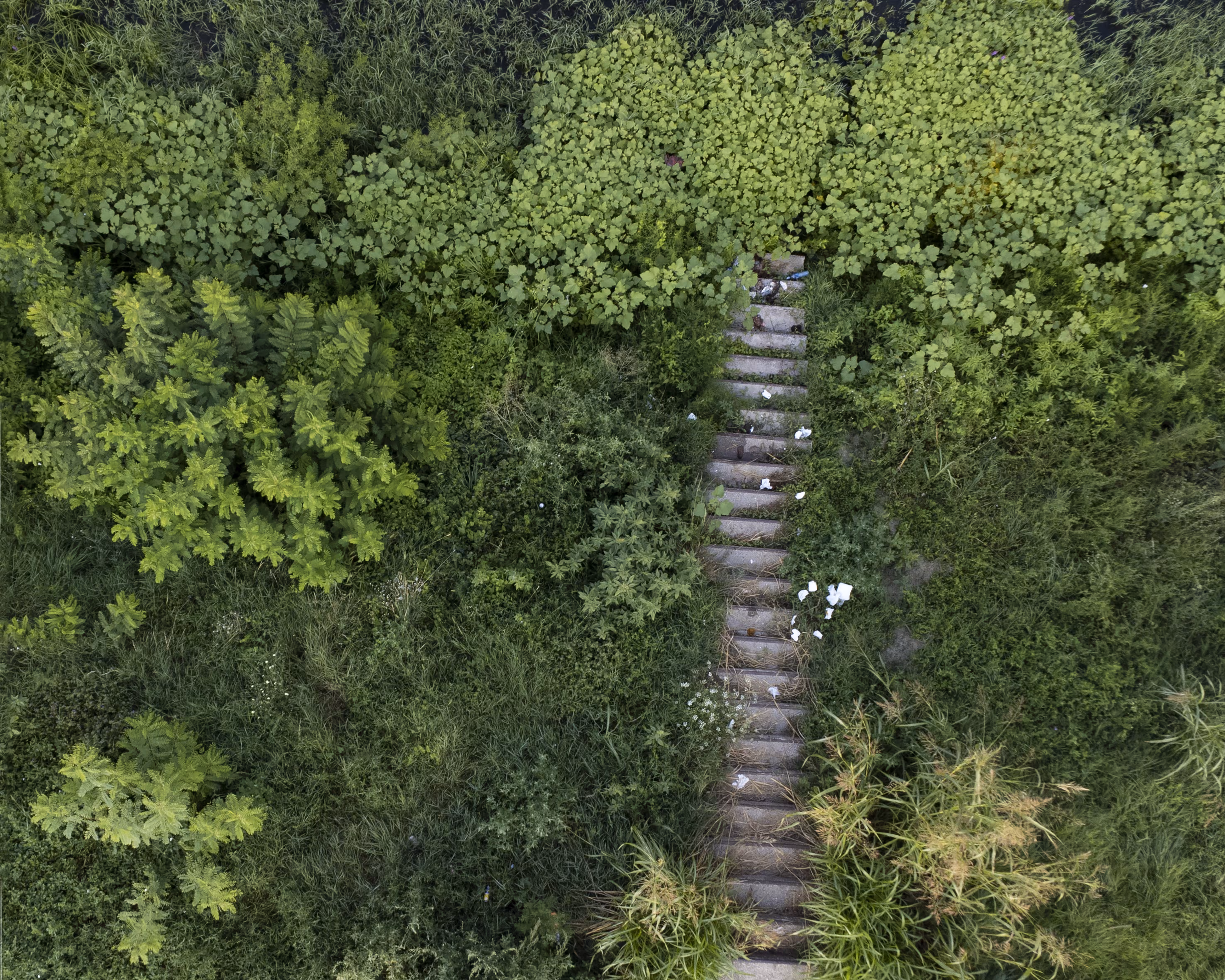 Stairway to Heaven