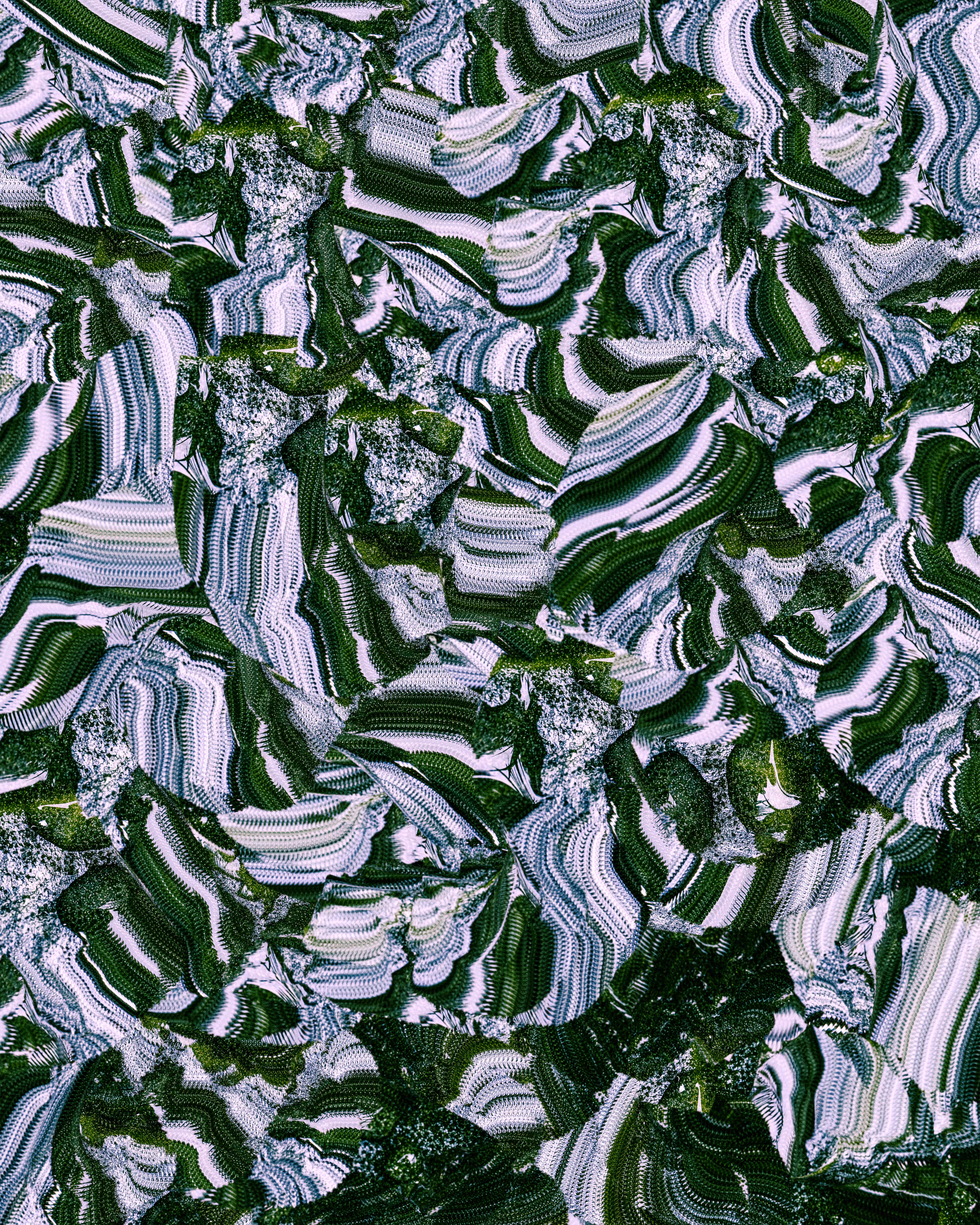 Rainforest
