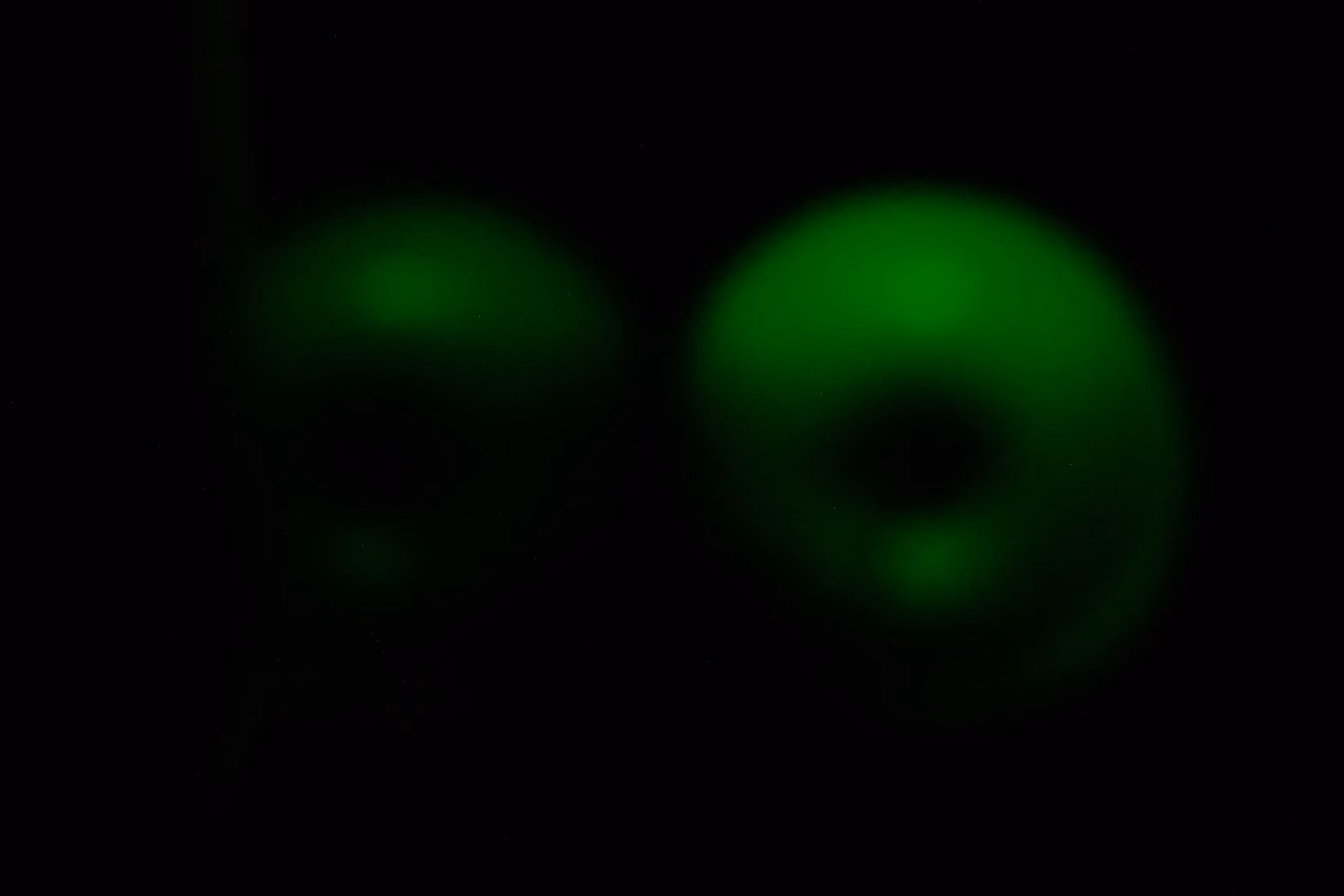 Photographer's DNA - #18
